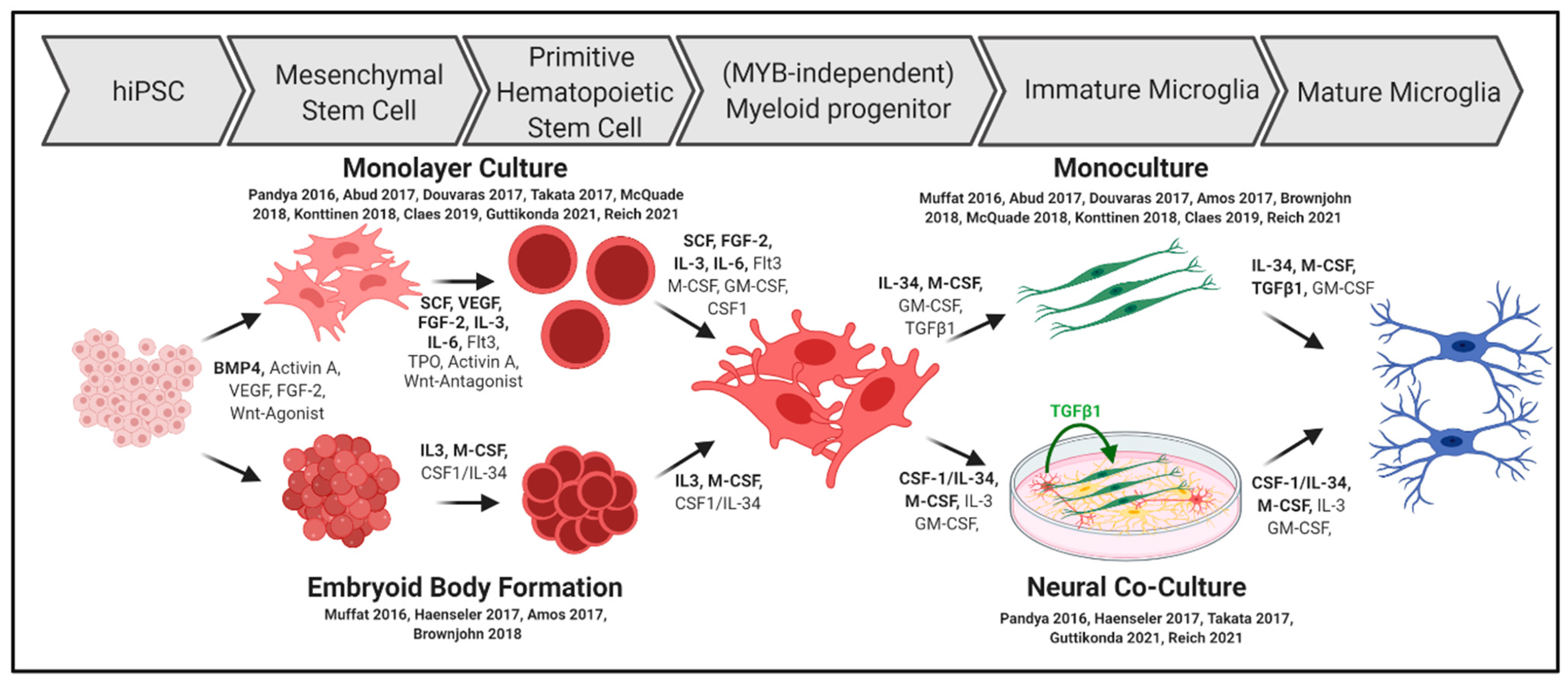 Ijms 22 03088 g002 Ijms 22 03088 g002