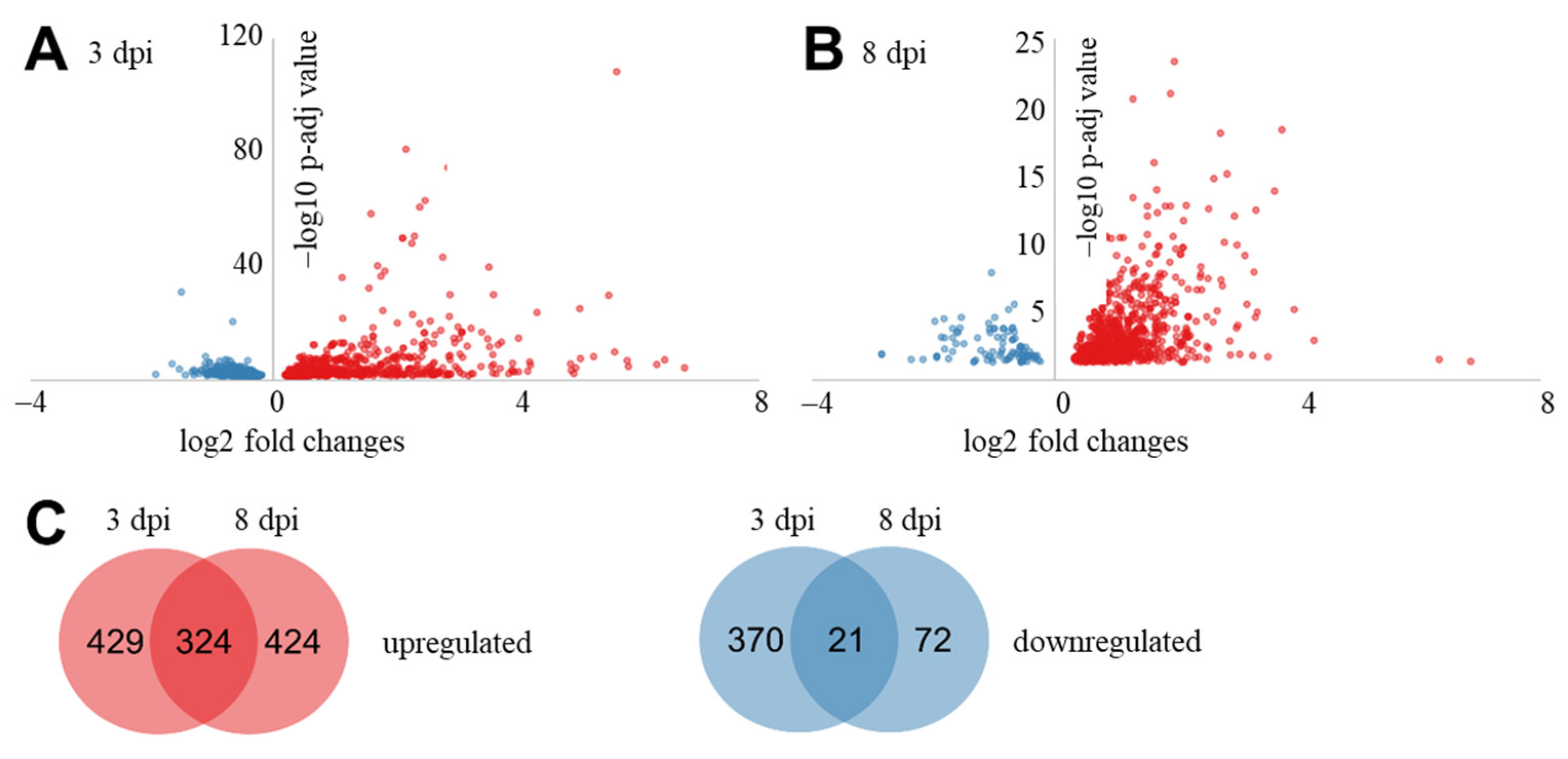 Ijms 22 03094 g002 Ijms 22 03094 g002