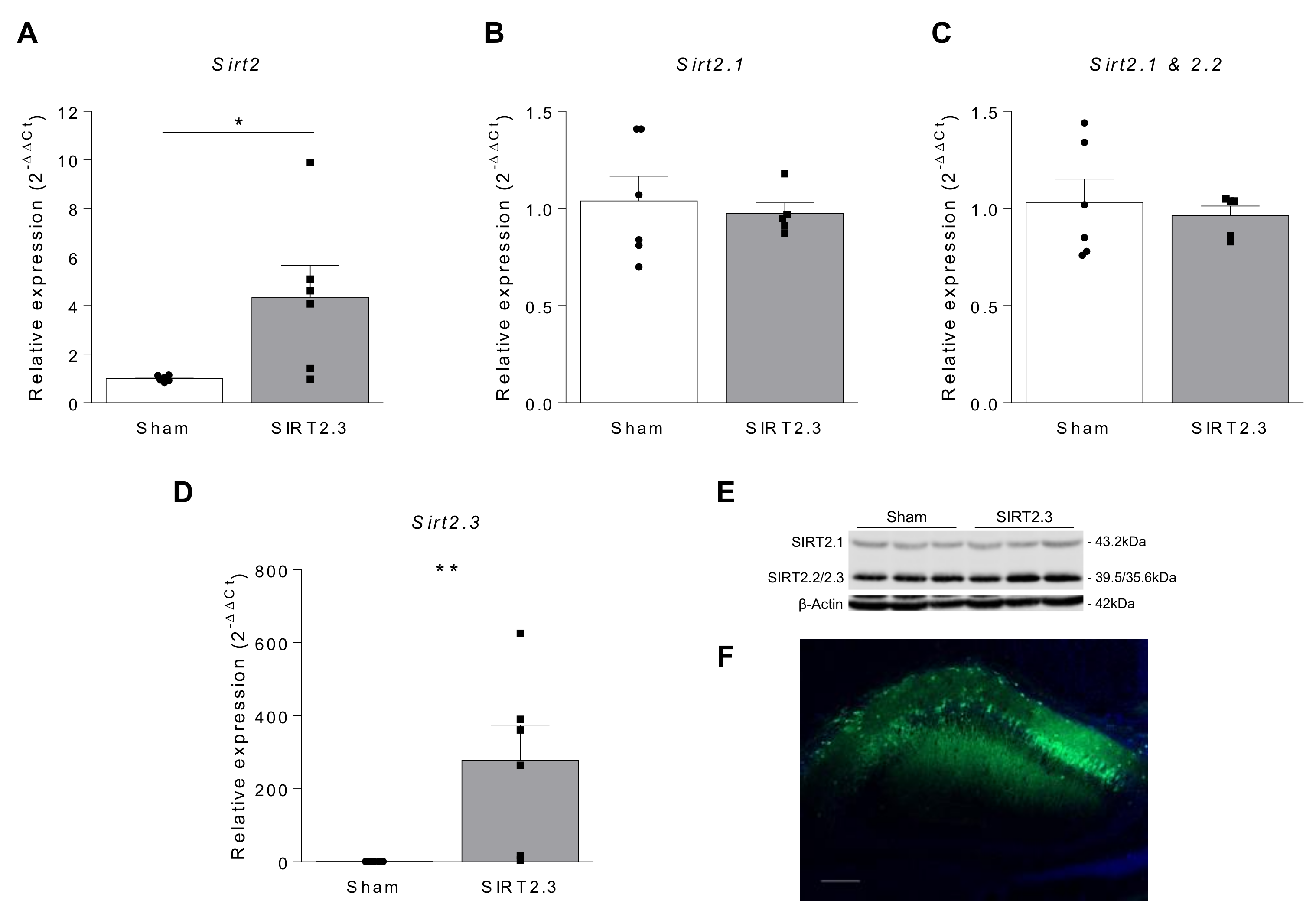 Ijms 22 03107 g003 Ijms 22 03107 g003