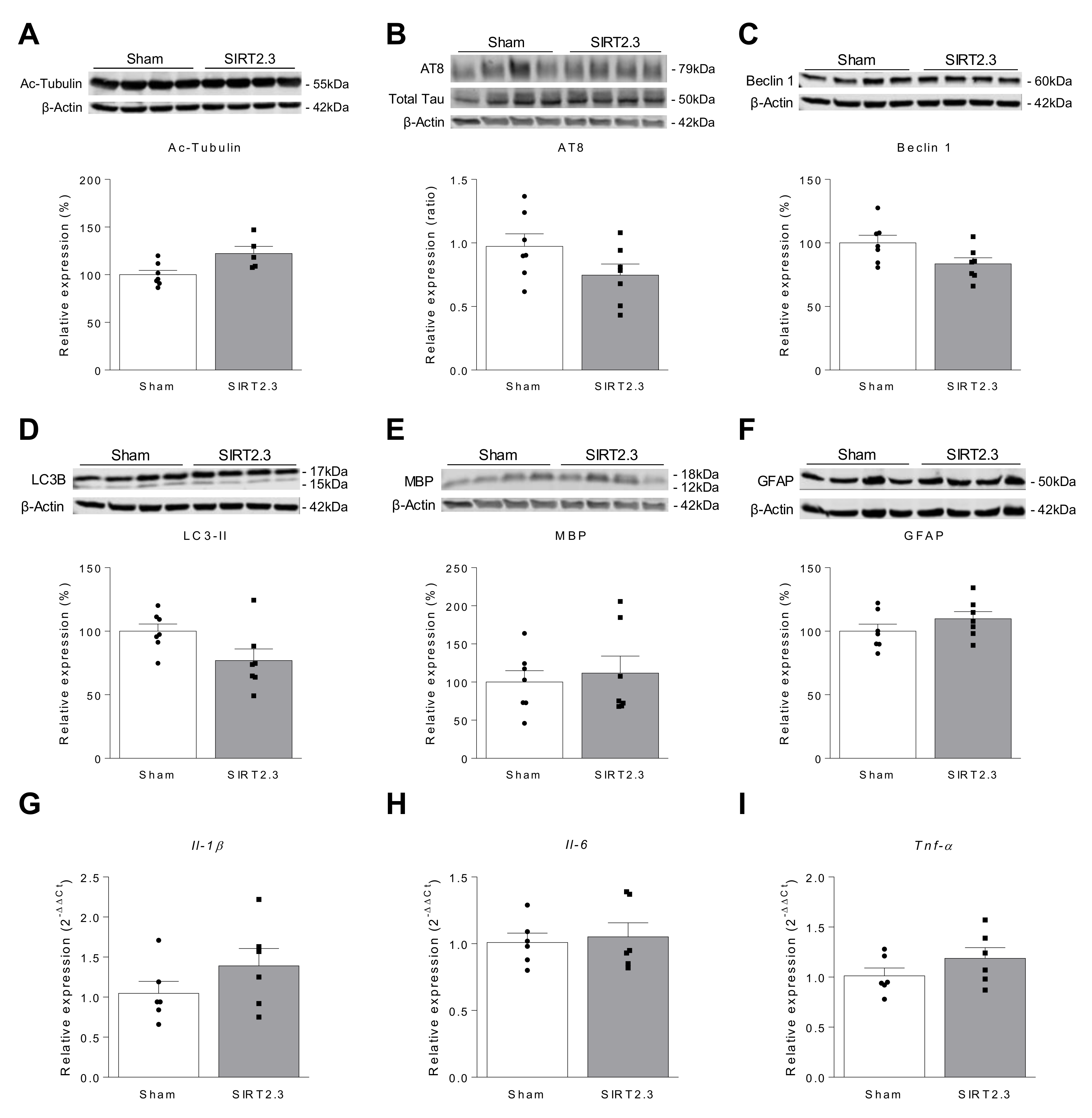 Ijms 22 03107 g005 Ijms 22 03107 g005