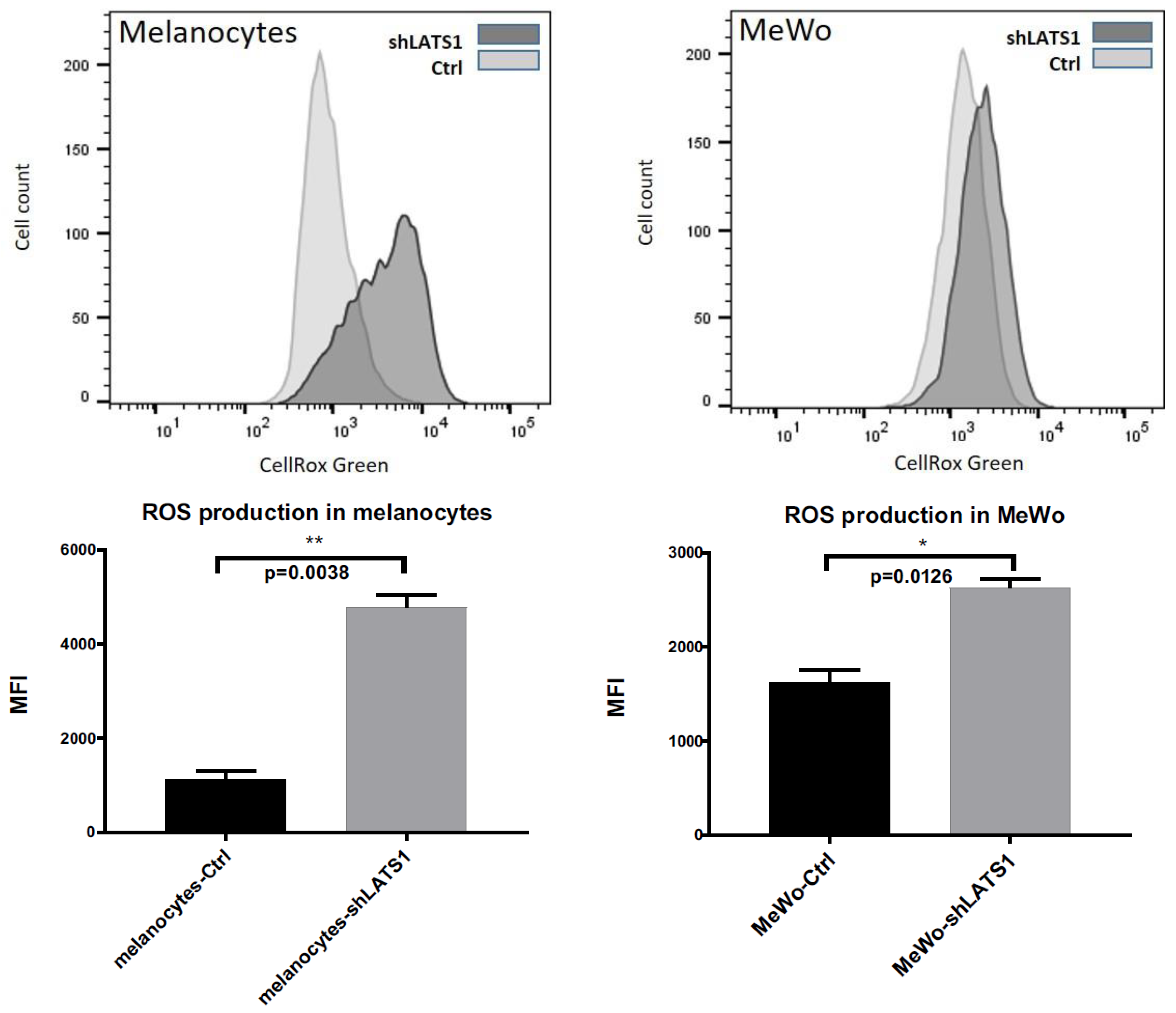 Ijms 22 03108 g003 Ijms 22 03108 g003