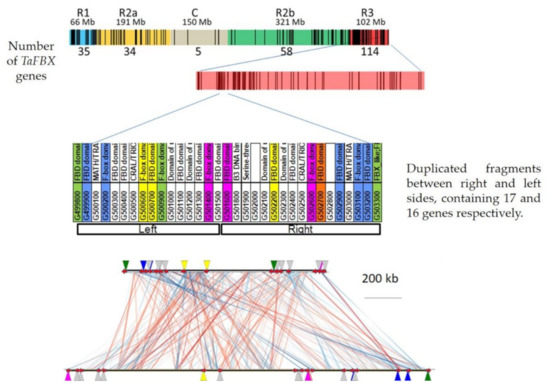 The Landscape of the Genomic Distribution and the Expression of