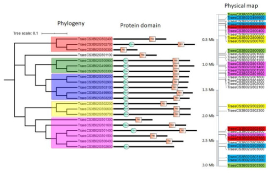 The Landscape of the Genomic Distribution and the Expression of