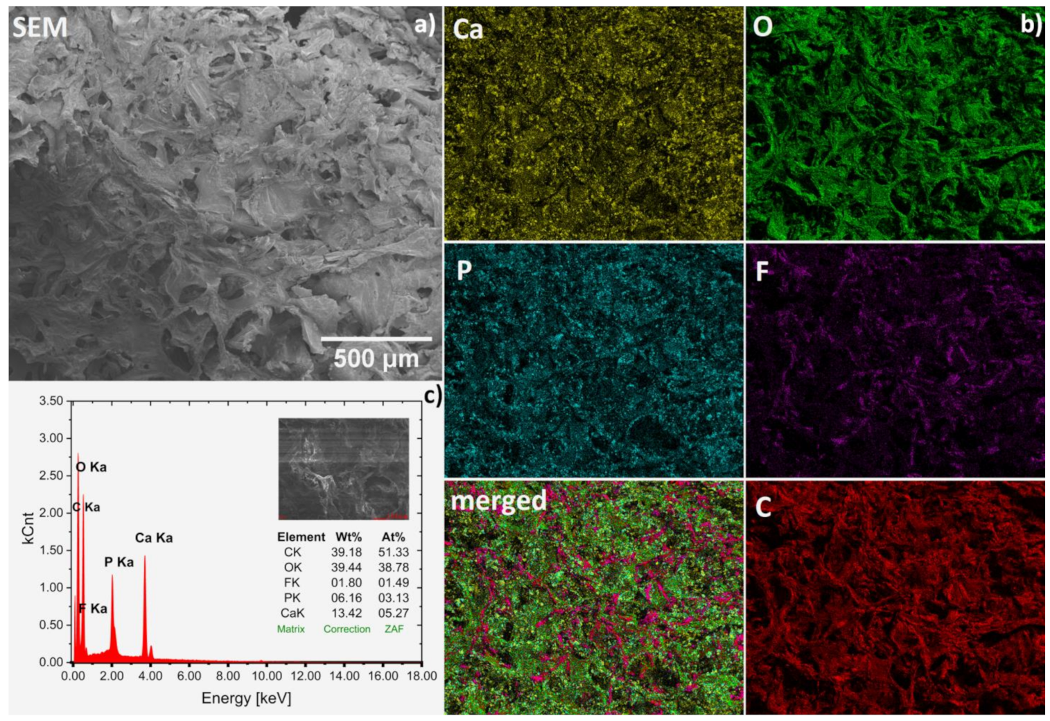 Ijms 22 03112 g003 Ijms 22 03112 g003