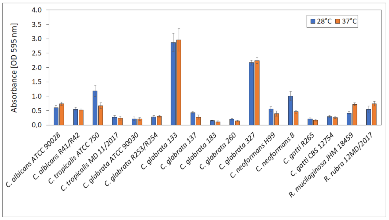 Ijms 22 03112 g009 Ijms 22 03112 g009