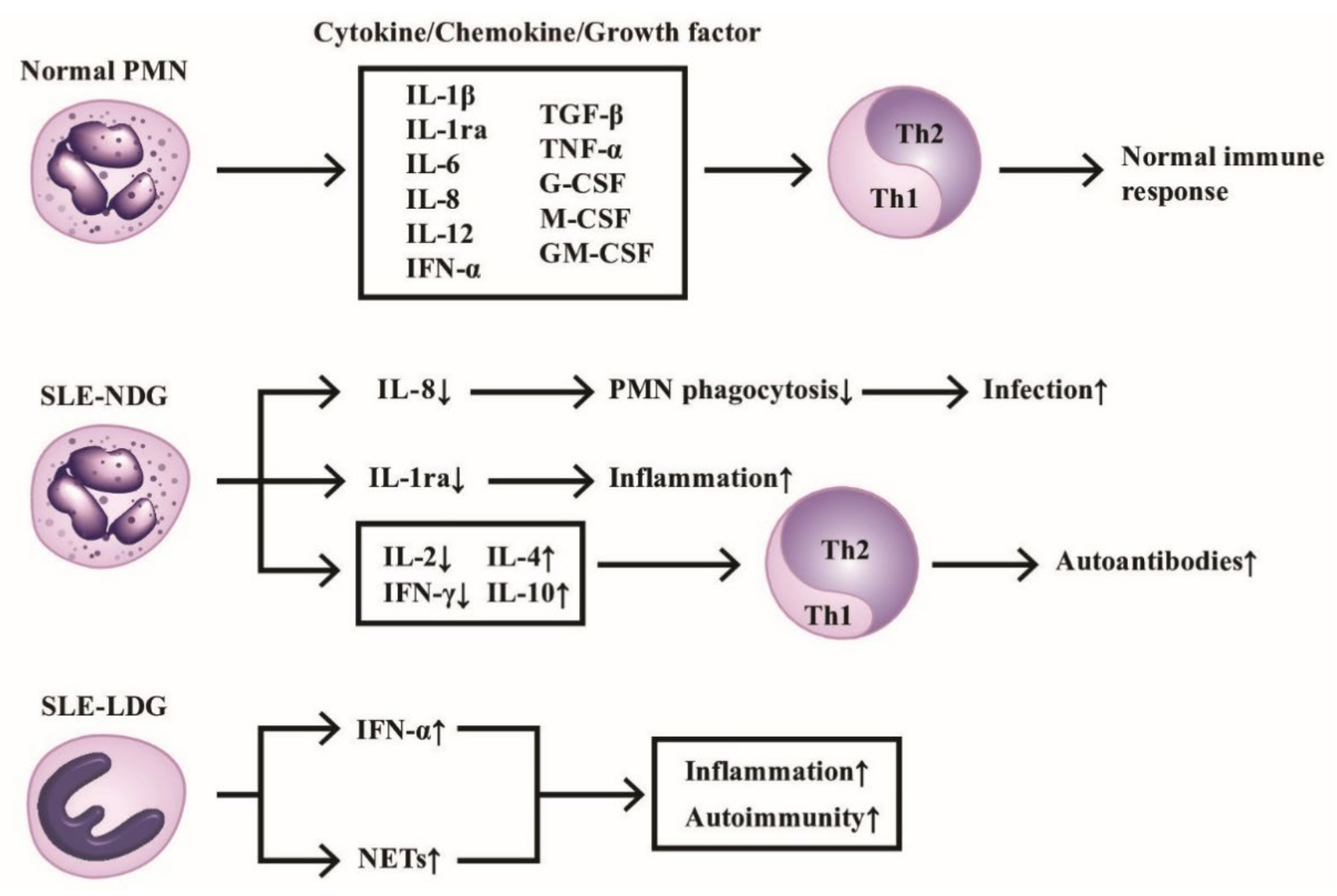 IJMS Free Full-Text Cross-Talk