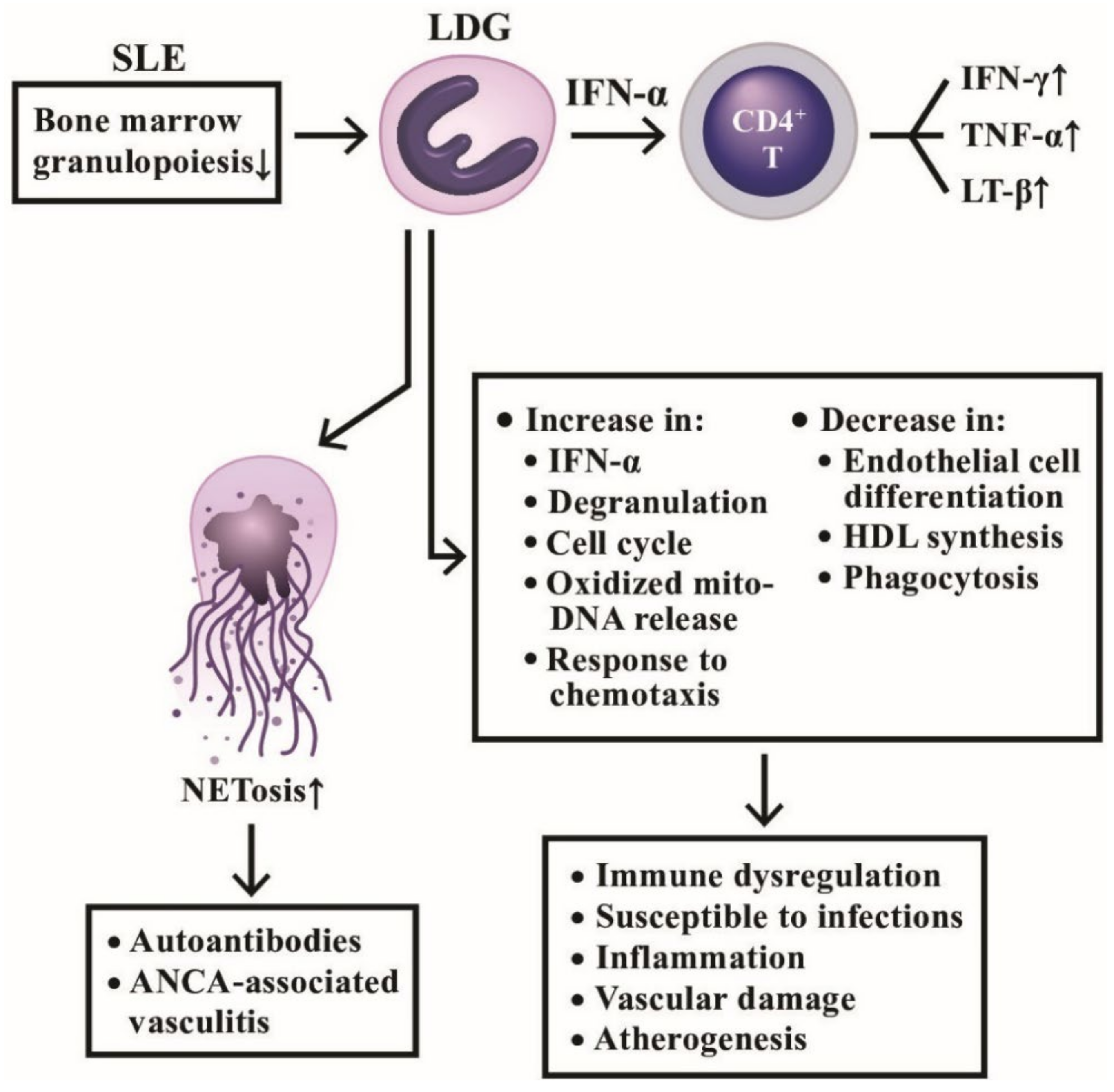 Ijms 22 03119 g008 Ijms 22 03119 g008