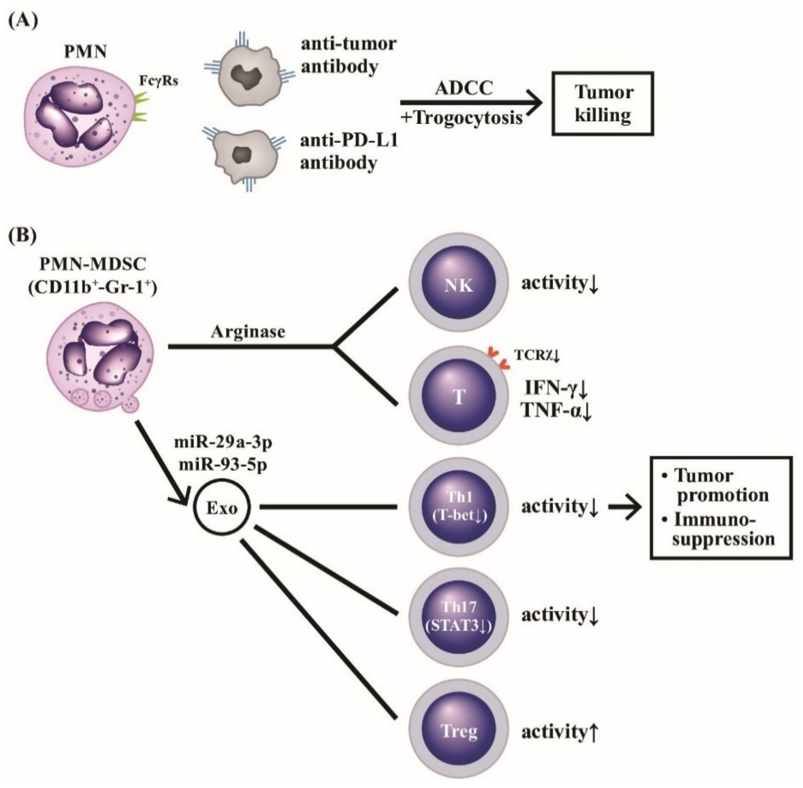 Ijms 22 03119 g009 Ijms 22 03119 g009