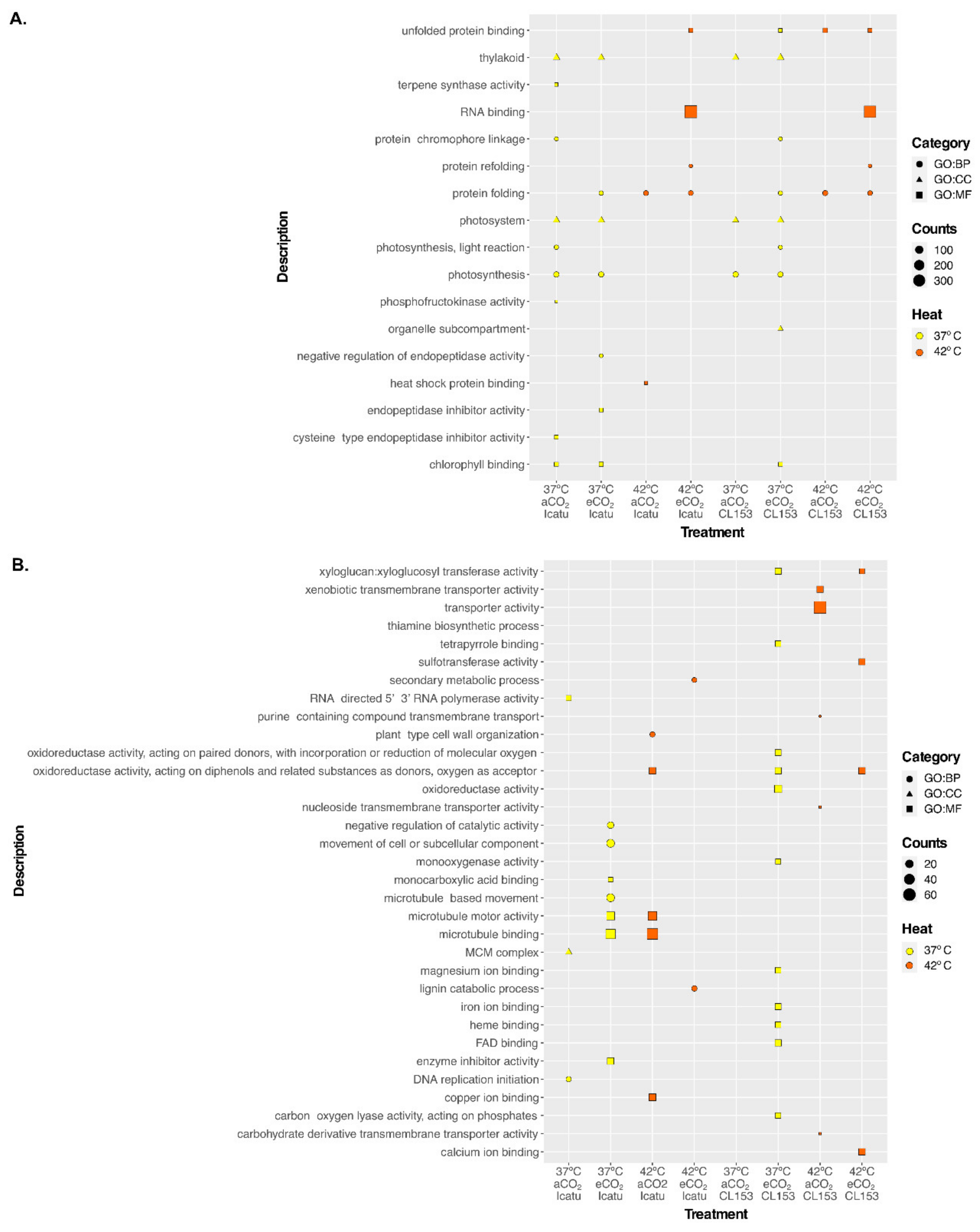 Ijms 22 03125 g005 Ijms 22 03125 g005