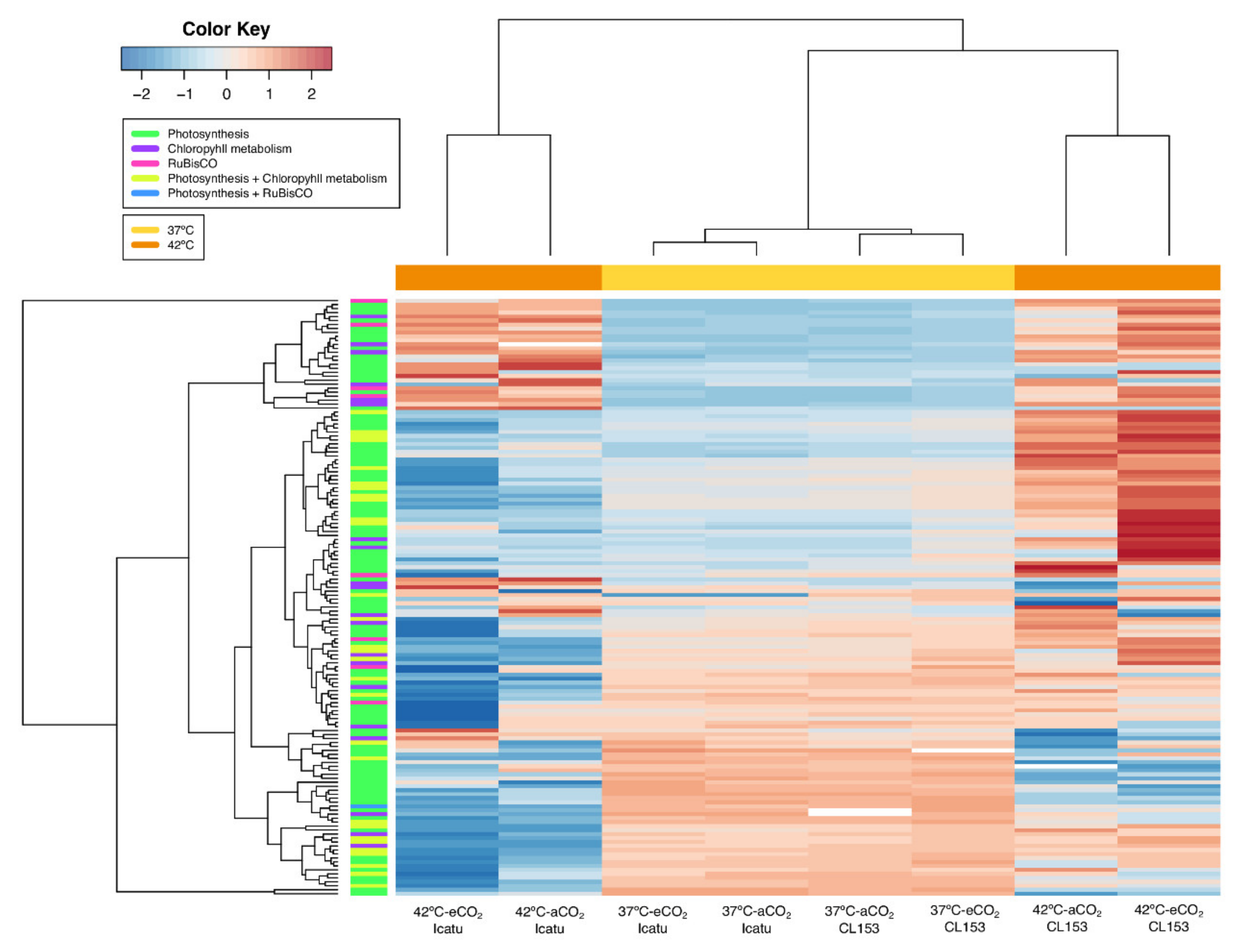 Ijms 22 03125 g007 Ijms 22 03125 g007