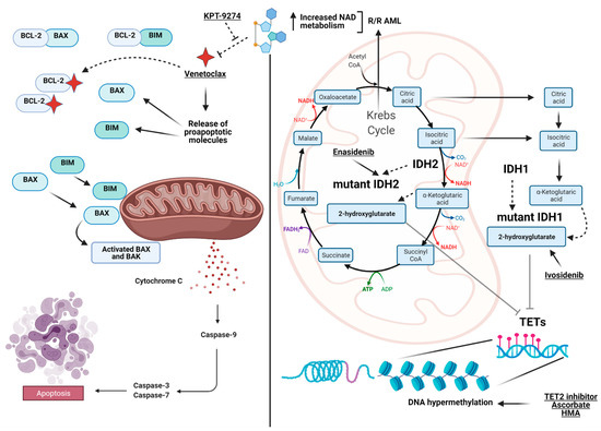 Ijms 22 03135 g001 550