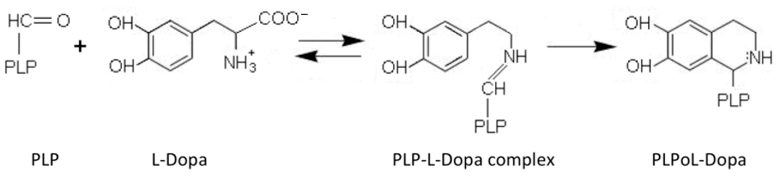 Ijms 22 03146 g002 Ijms 22 03146 g002
