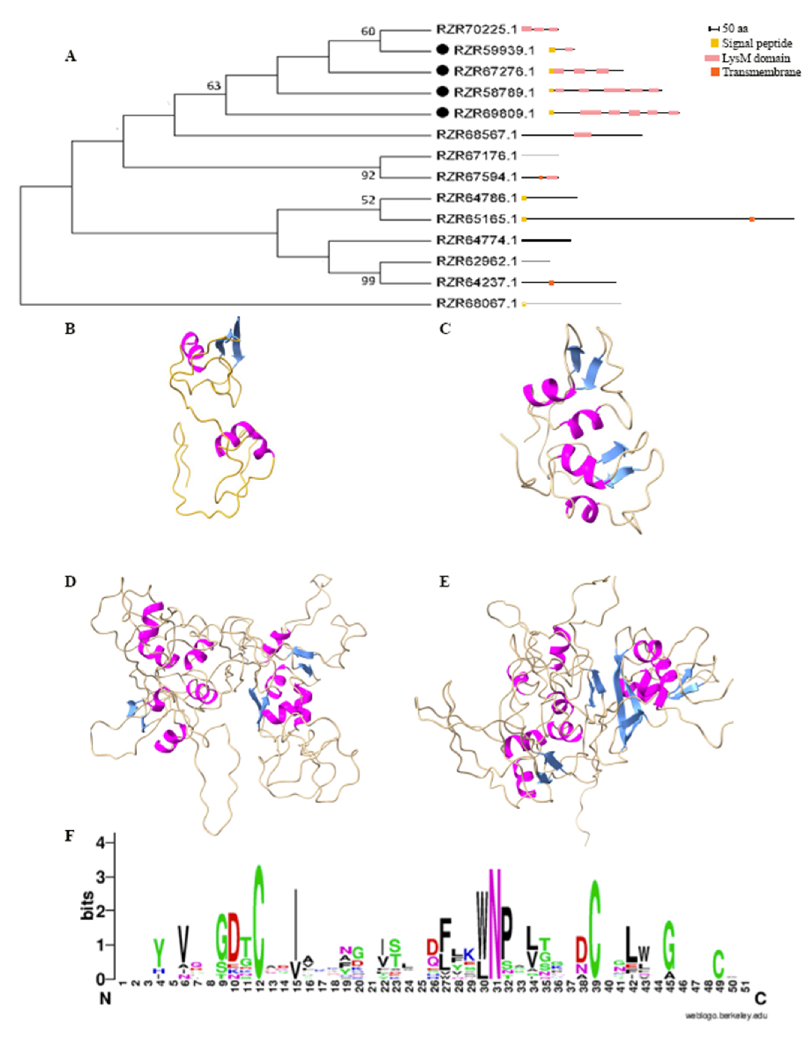 Ijms 22 03147 g001 Ijms 22 03147 g001
