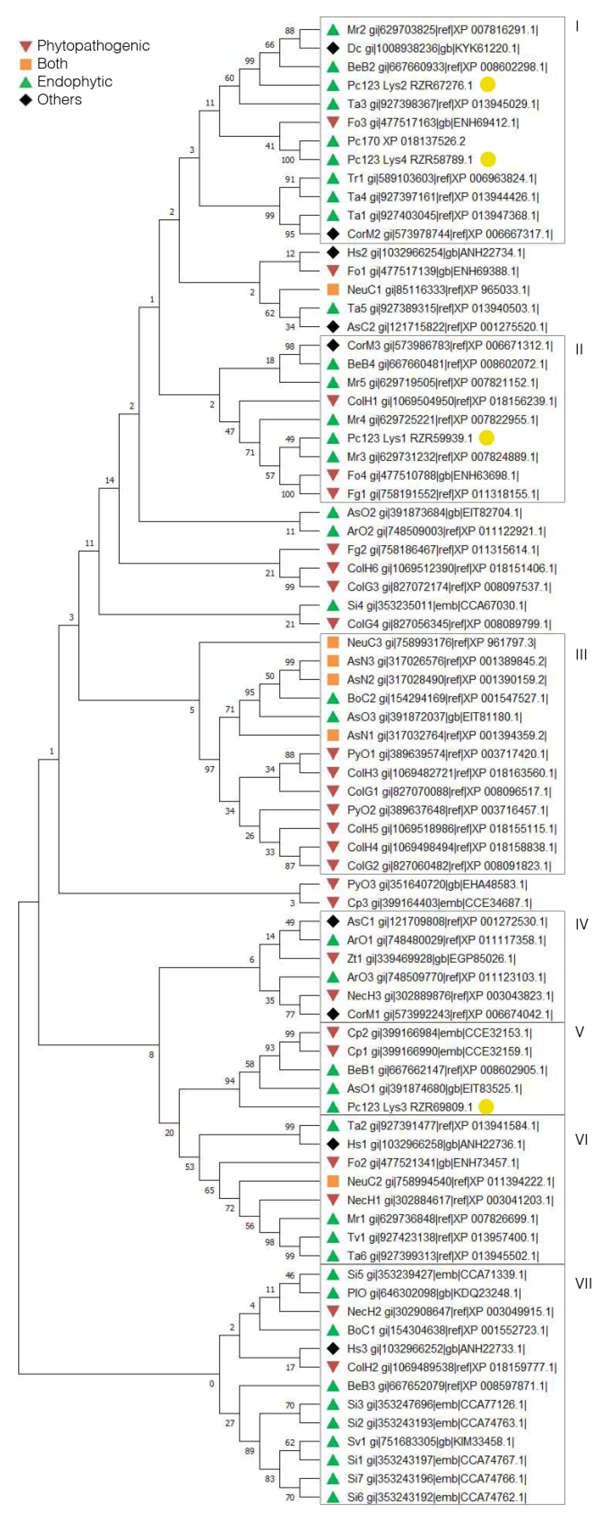 Ijms 22 03147 g002 Ijms 22 03147 g002