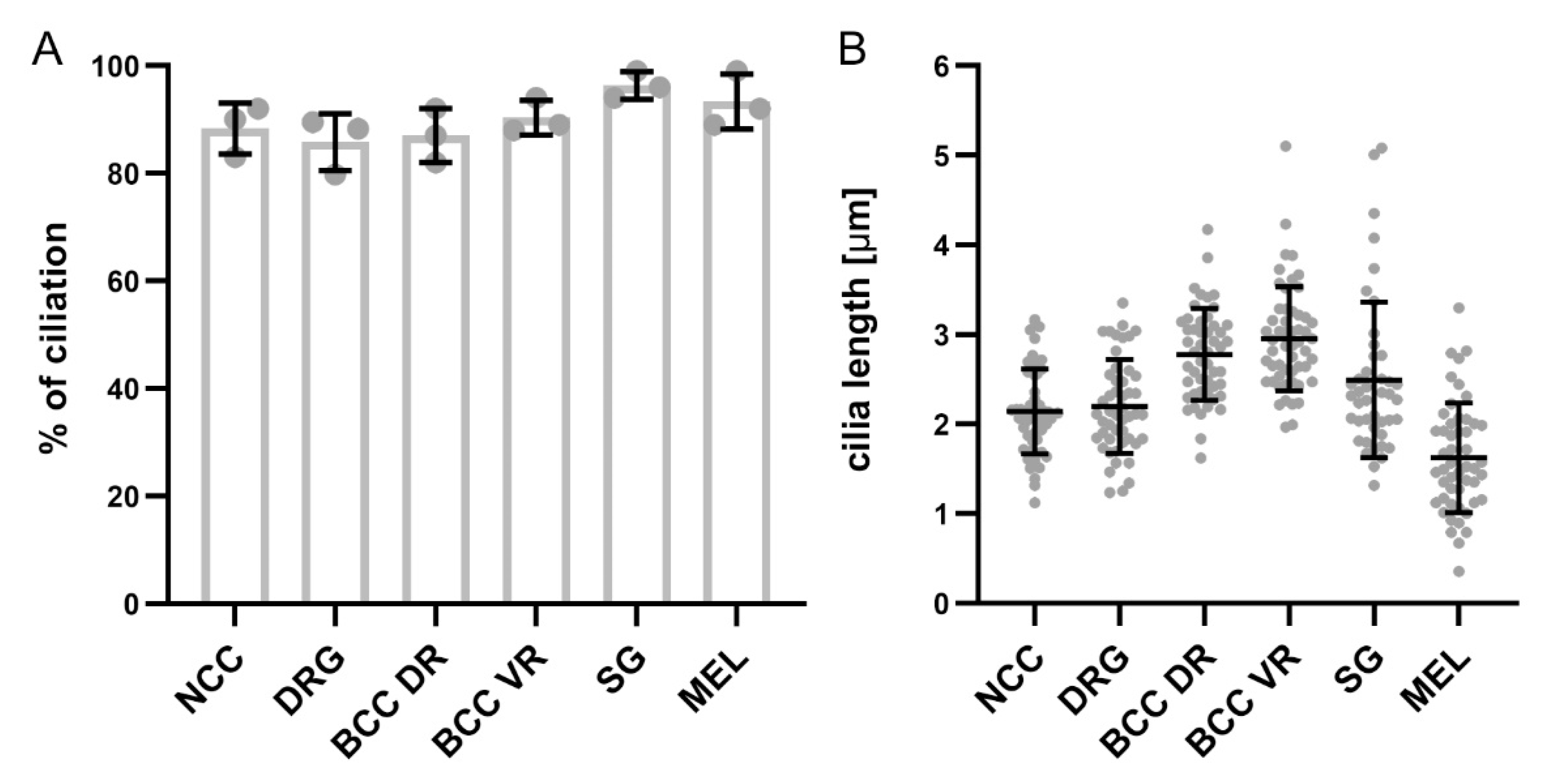 Ijms 22 03176 g005 Ijms 22 03176 g005