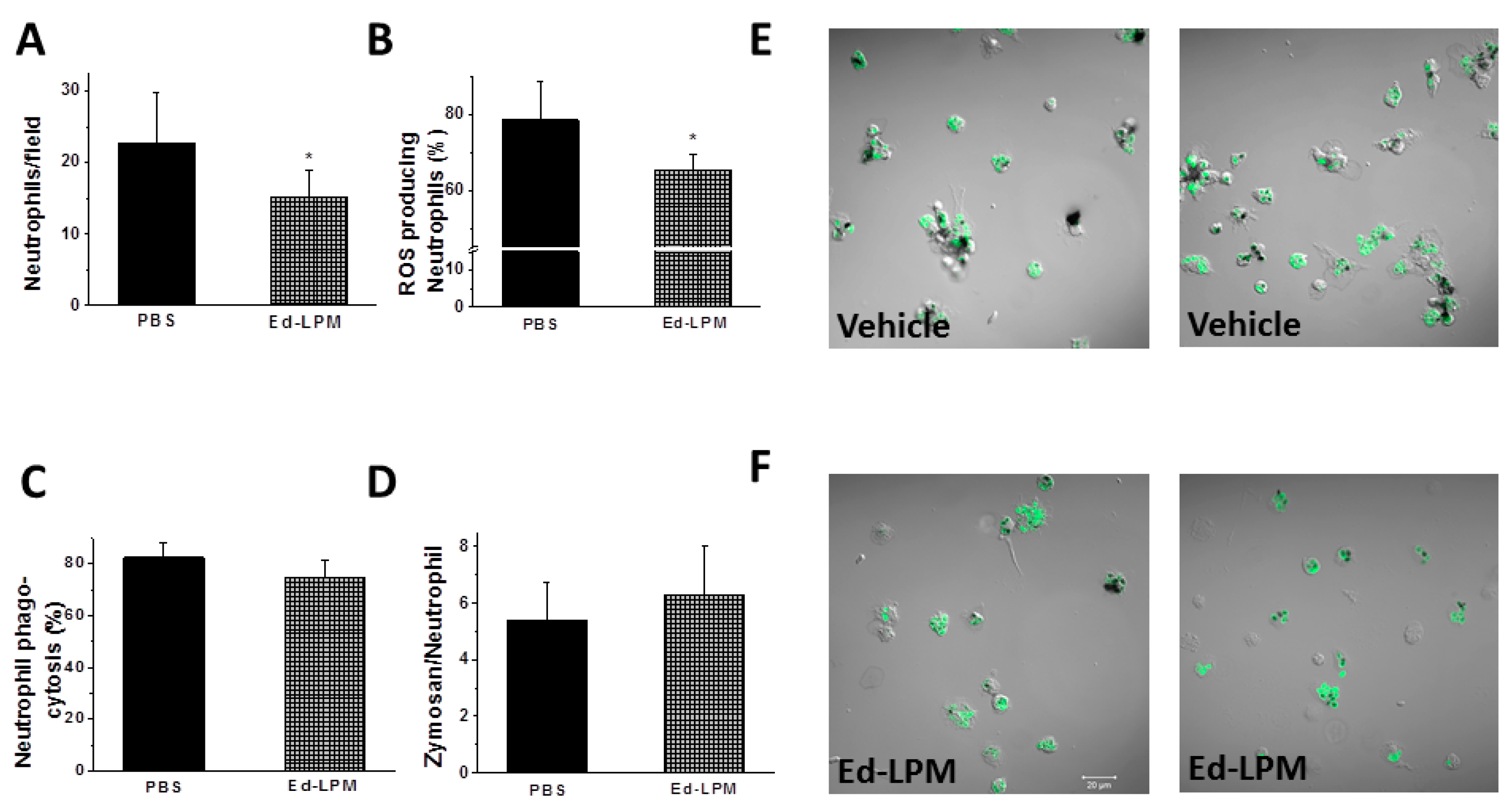 Ijms 22 03190 g005 Ijms 22 03190 g005