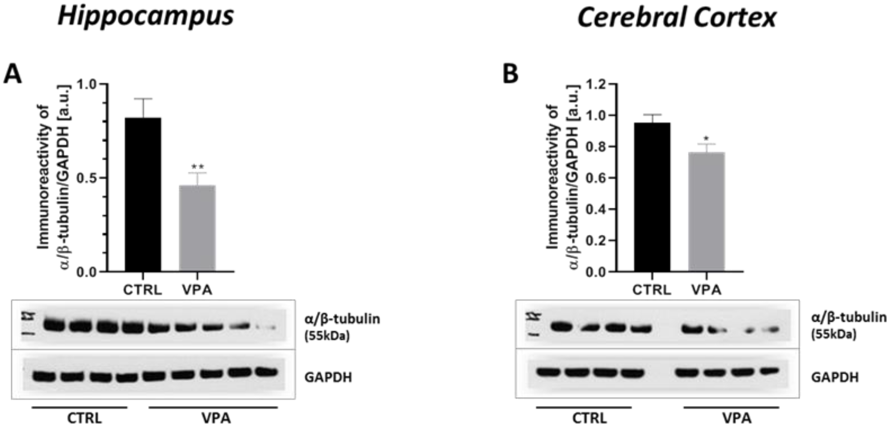 Ijms 22 03209 g001 Ijms 22 03209 g001