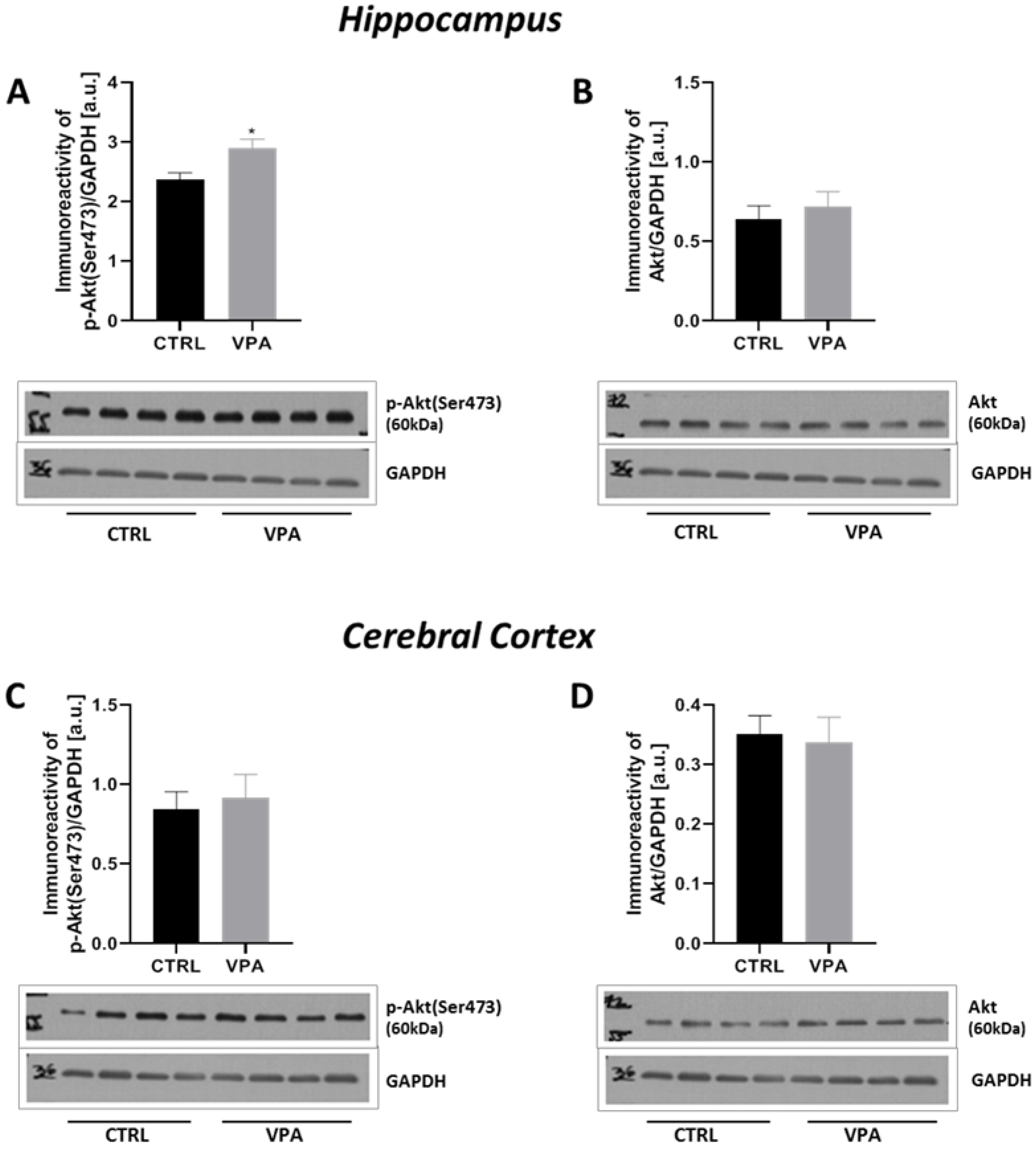 Ijms 22 03209 g010 Ijms 22 03209 g010
