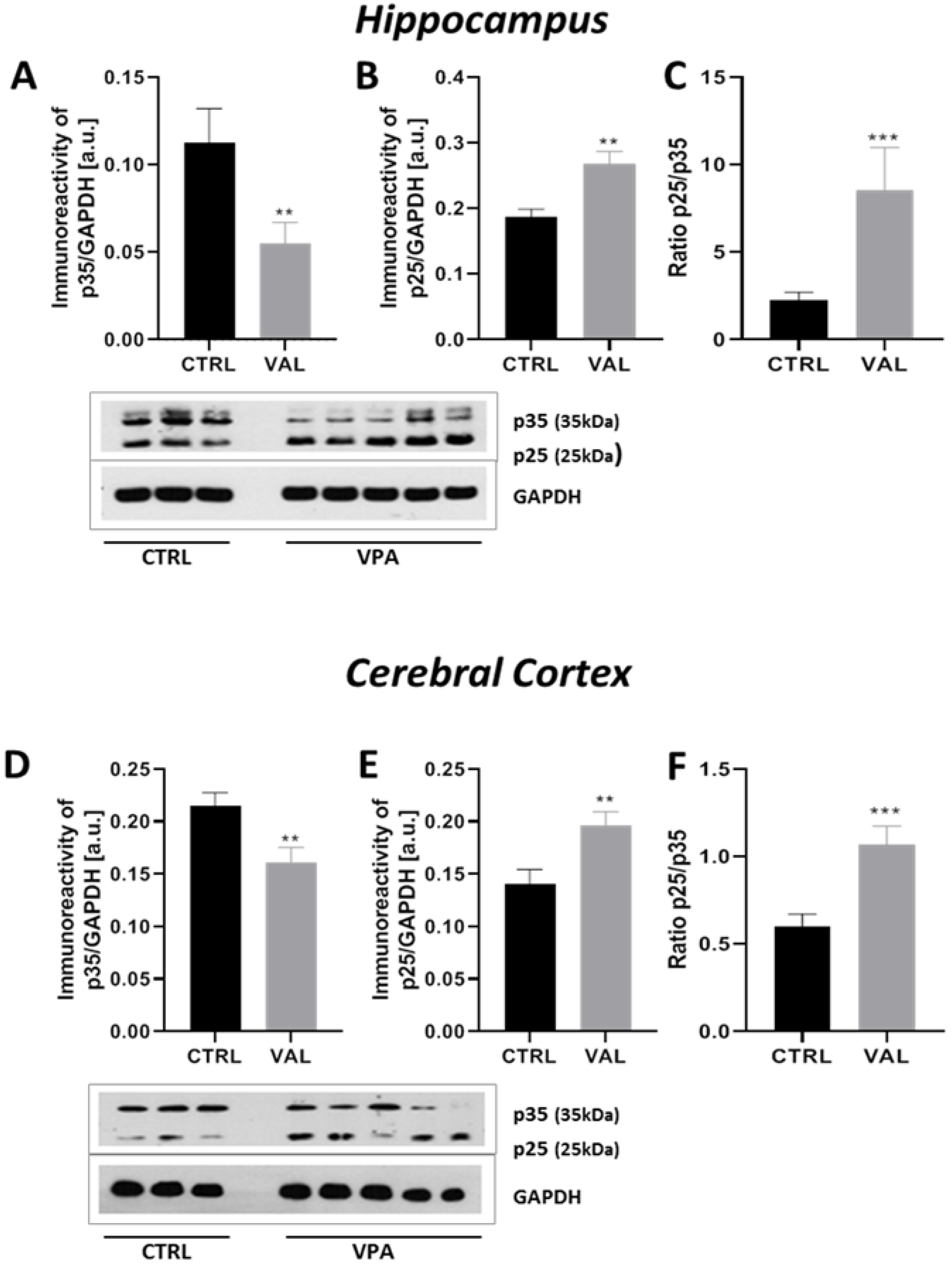 Ijms 22 03209 g012 Ijms 22 03209 g012