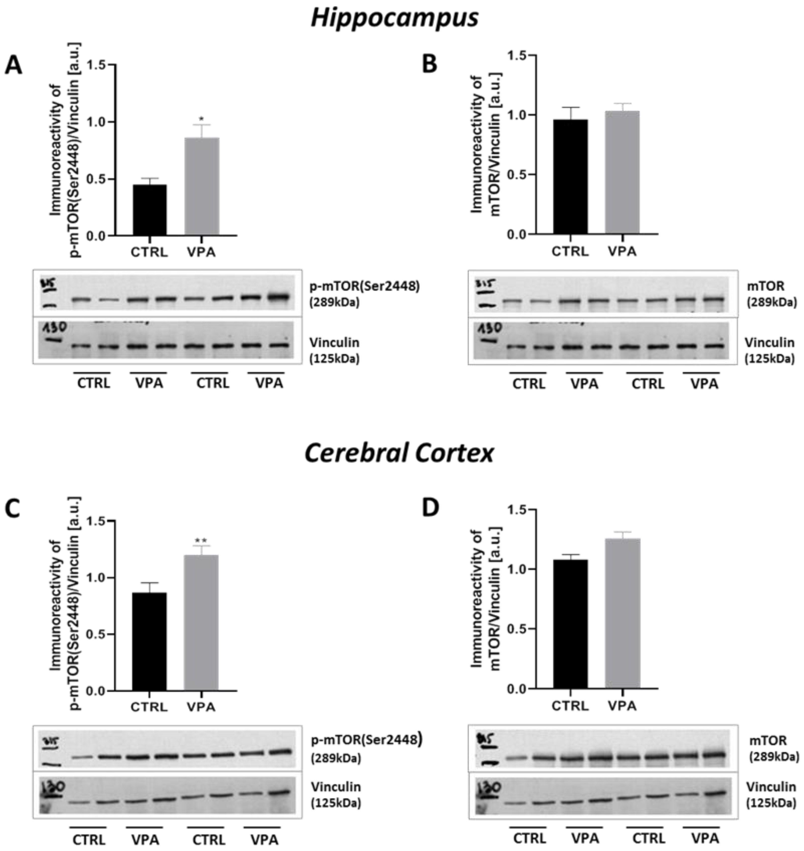 Ijms 22 03209 g014 Ijms 22 03209 g014