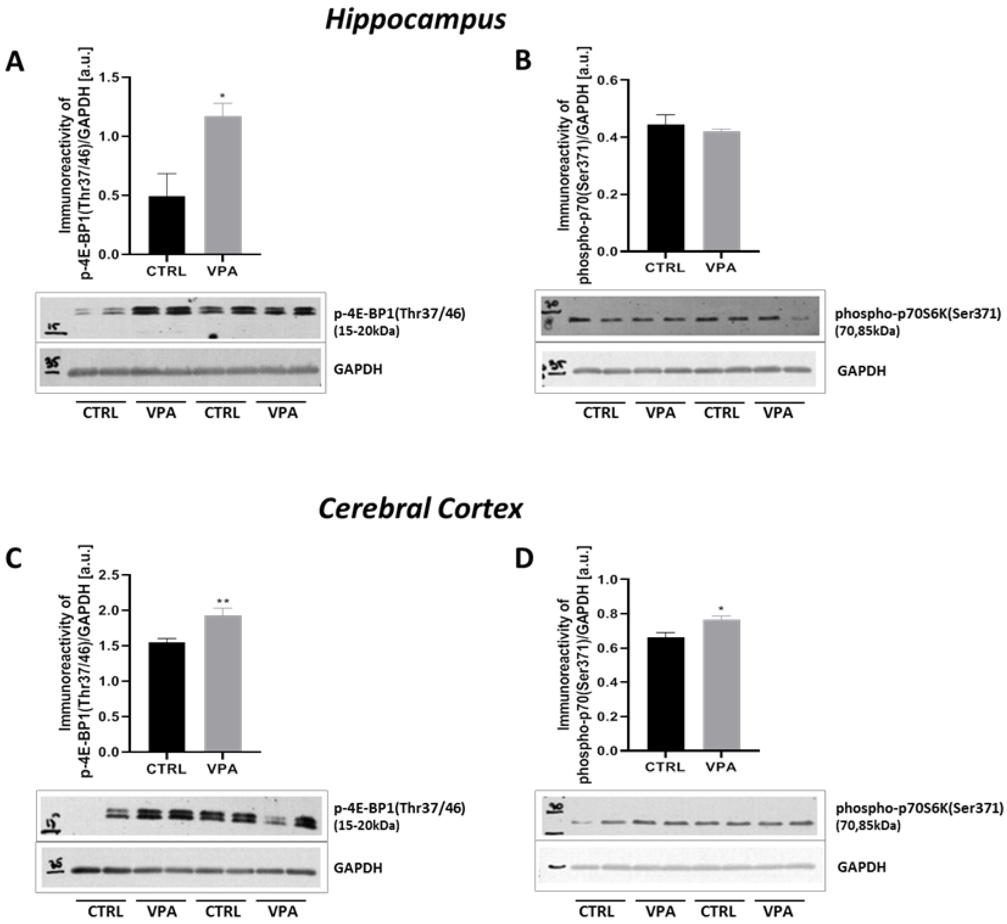 Ijms 22 03209 g015 Ijms 22 03209 g015