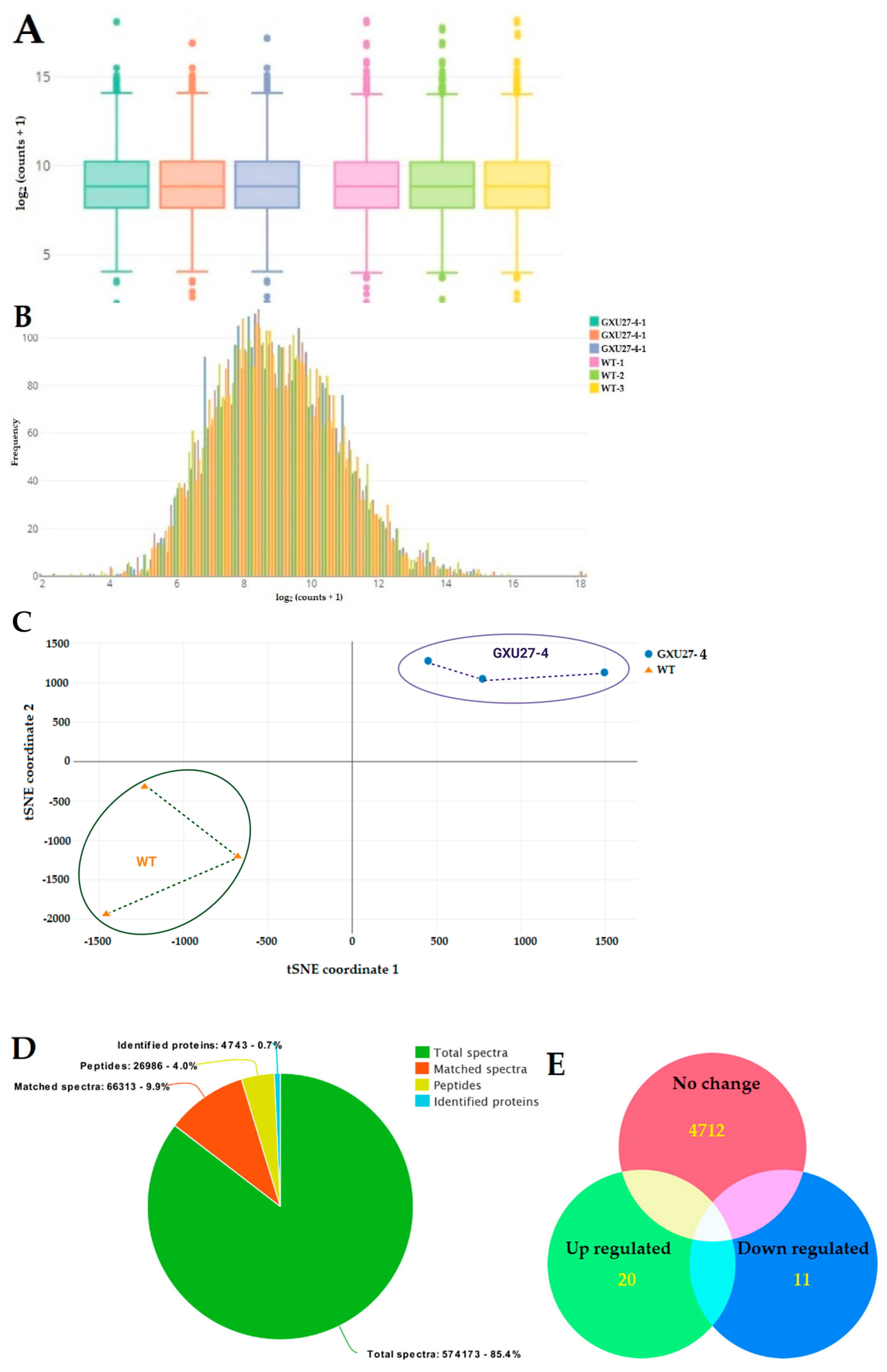 Ijms 22 03225 g004 Ijms 22 03225 g004