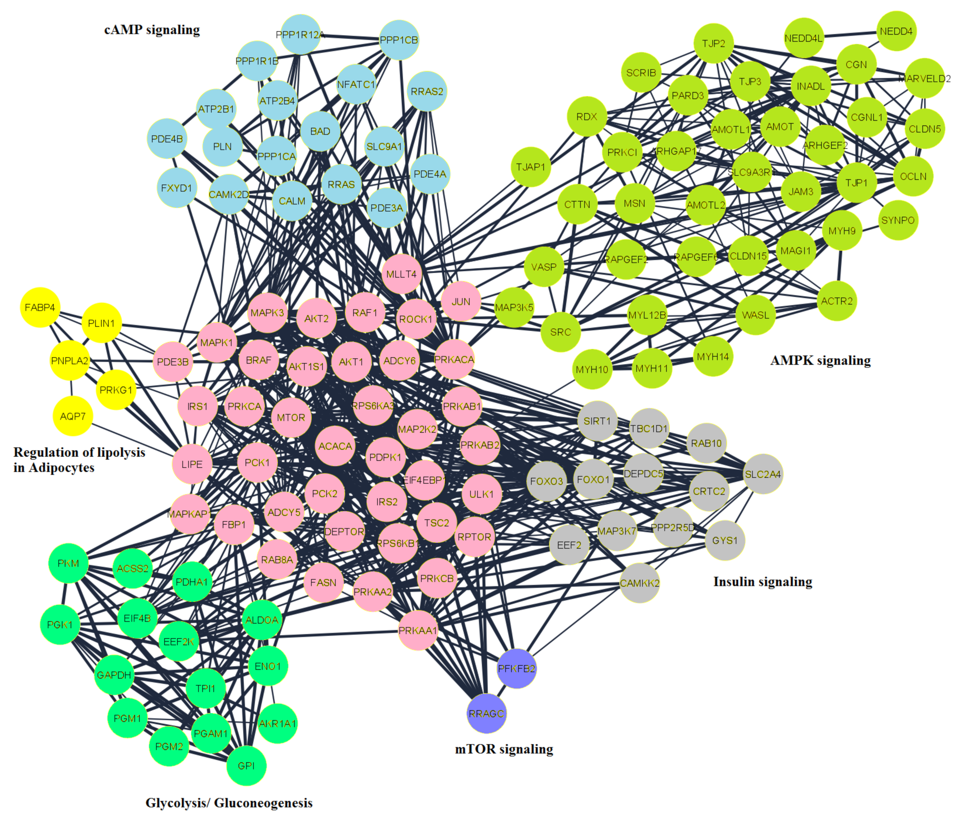 Ijms 22 03227 g005 Ijms 22 03227 g005