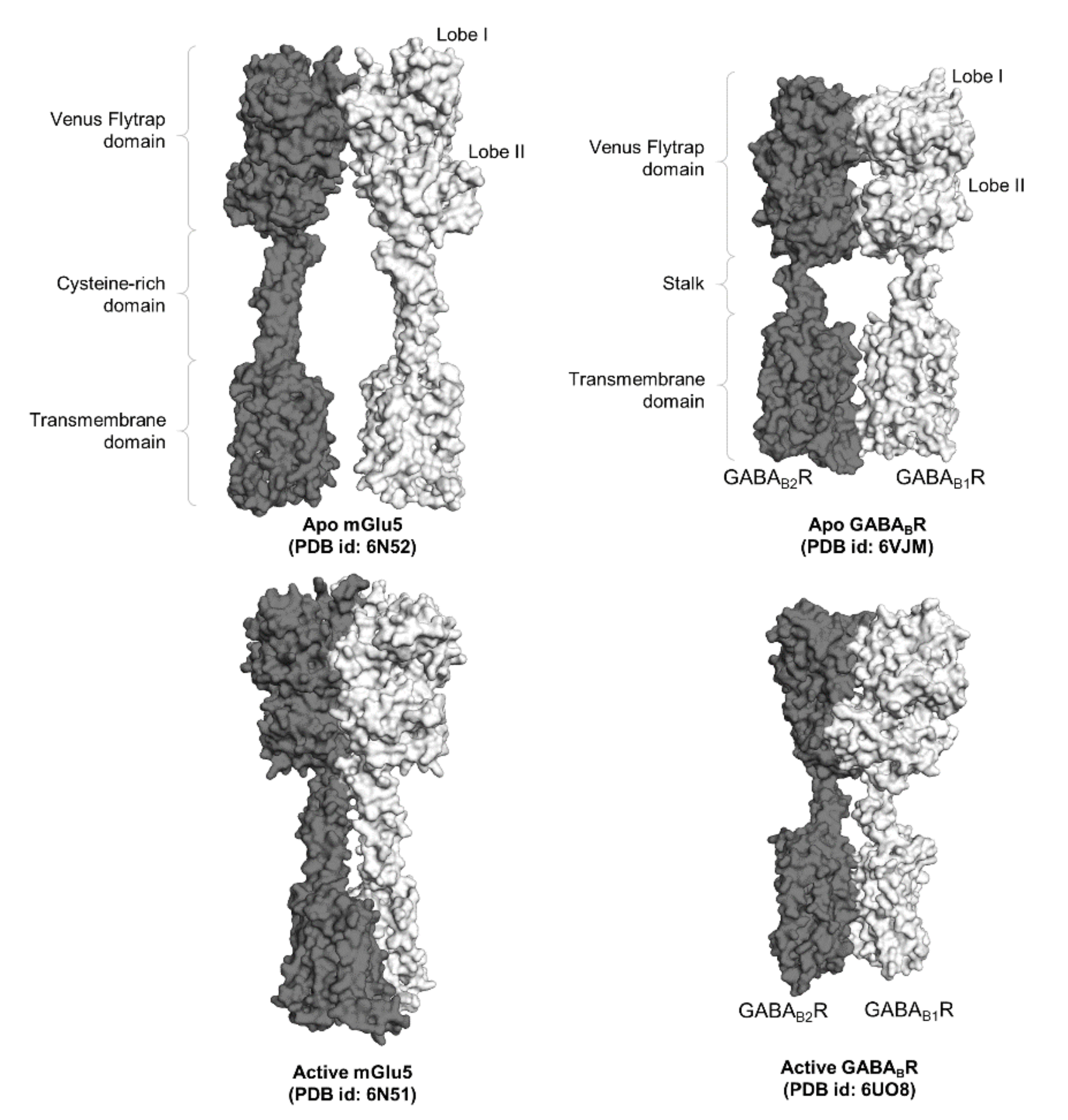 Ijms 22 03241 g002 Ijms 22 03241 g002