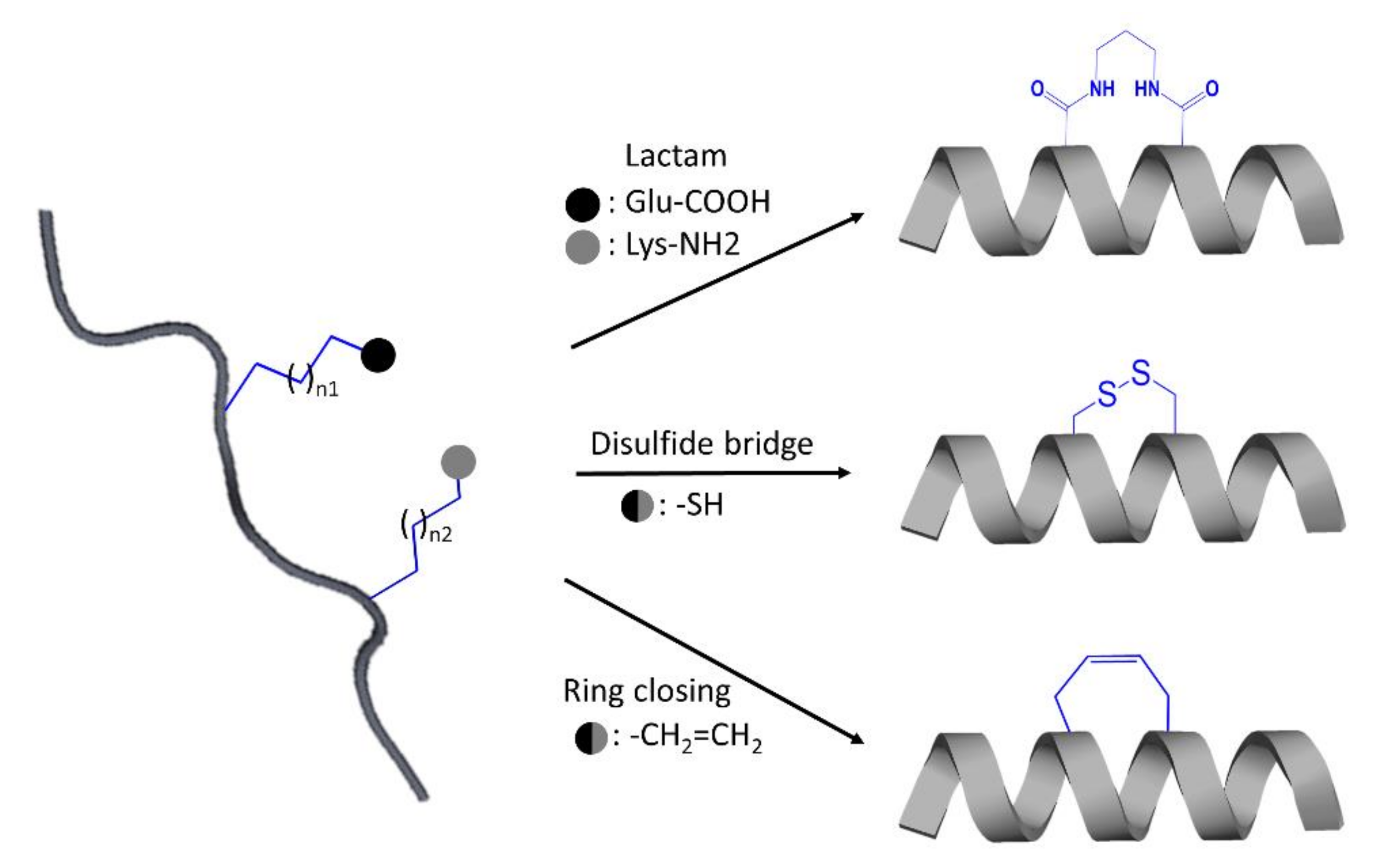 Ijms 22 03241 g005 Ijms 22 03241 g005