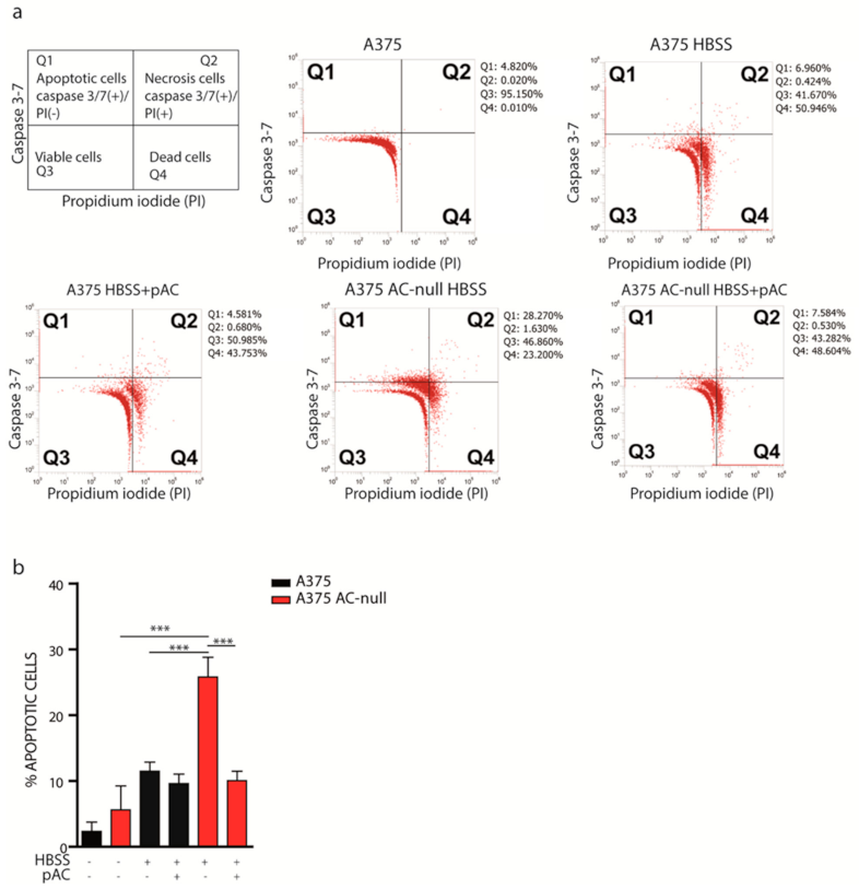 Ijms 22 03247 g003 Ijms 22 03247 g003