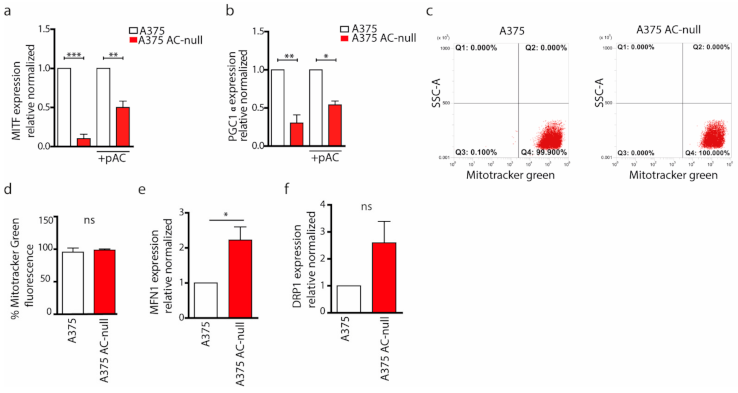 Ijms 22 03247 g004 Ijms 22 03247 g004