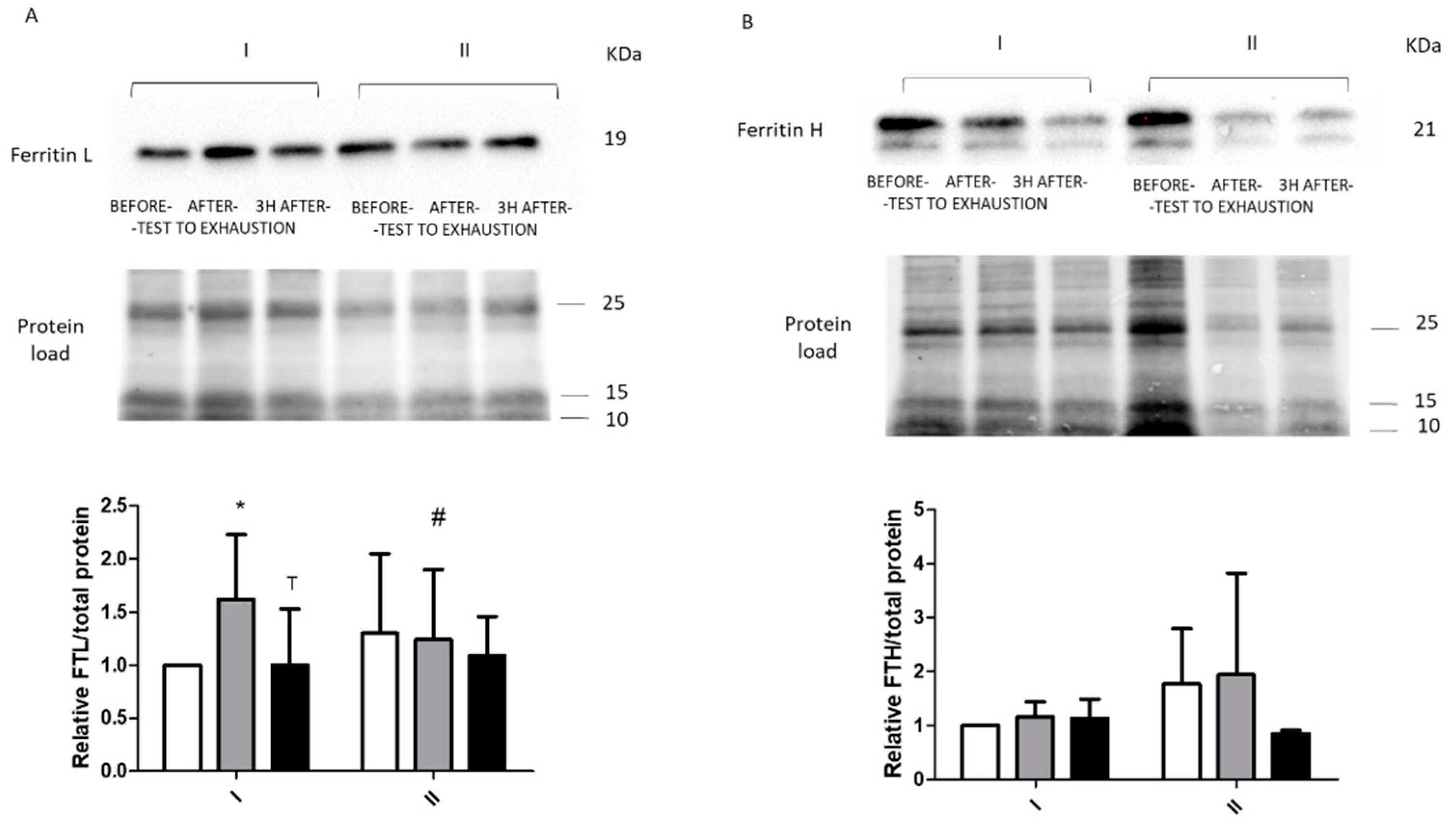 Ijms 22 03248 g004 Ijms 22 03248 g004