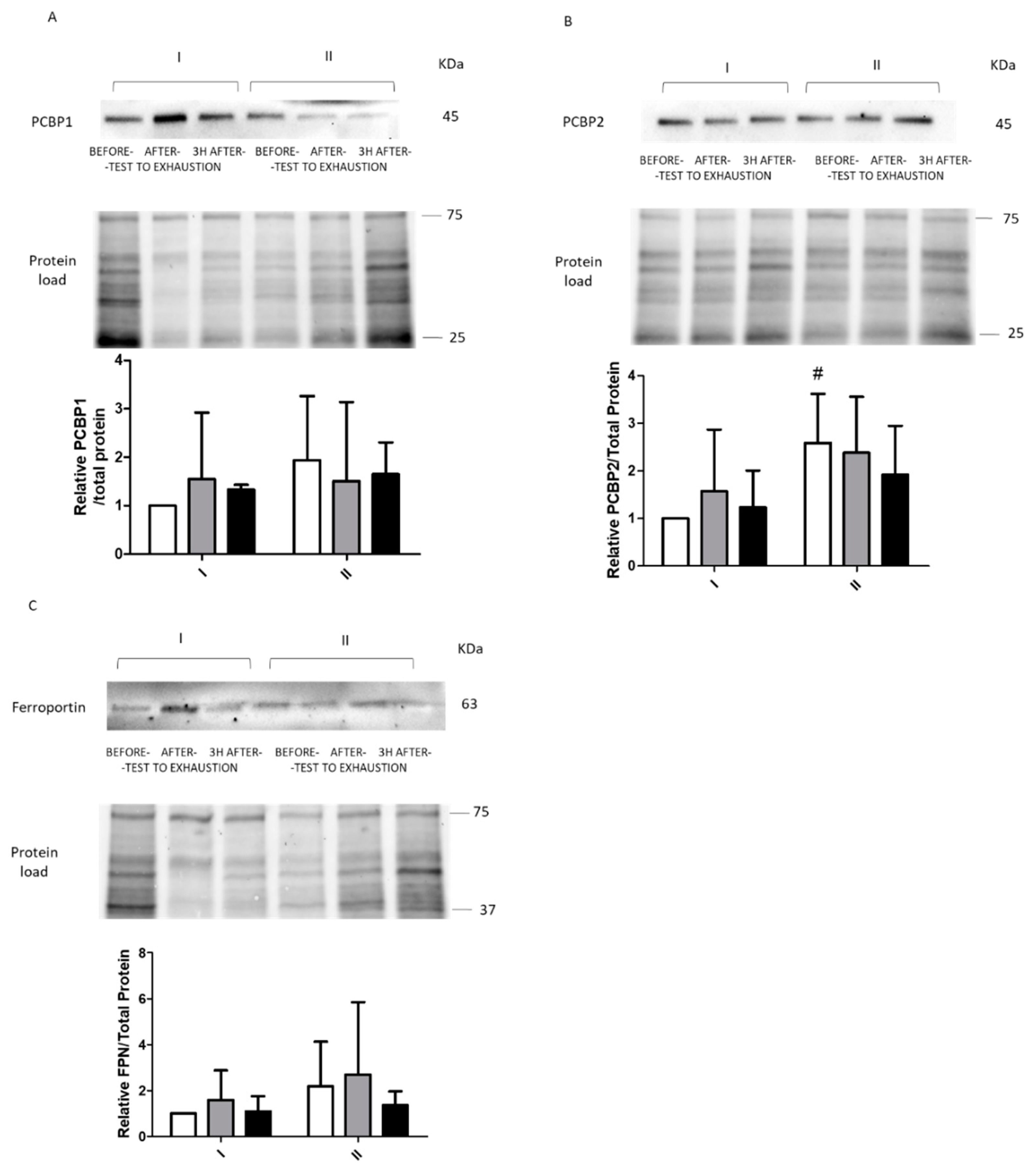 Ijms 22 03248 g005 Ijms 22 03248 g005