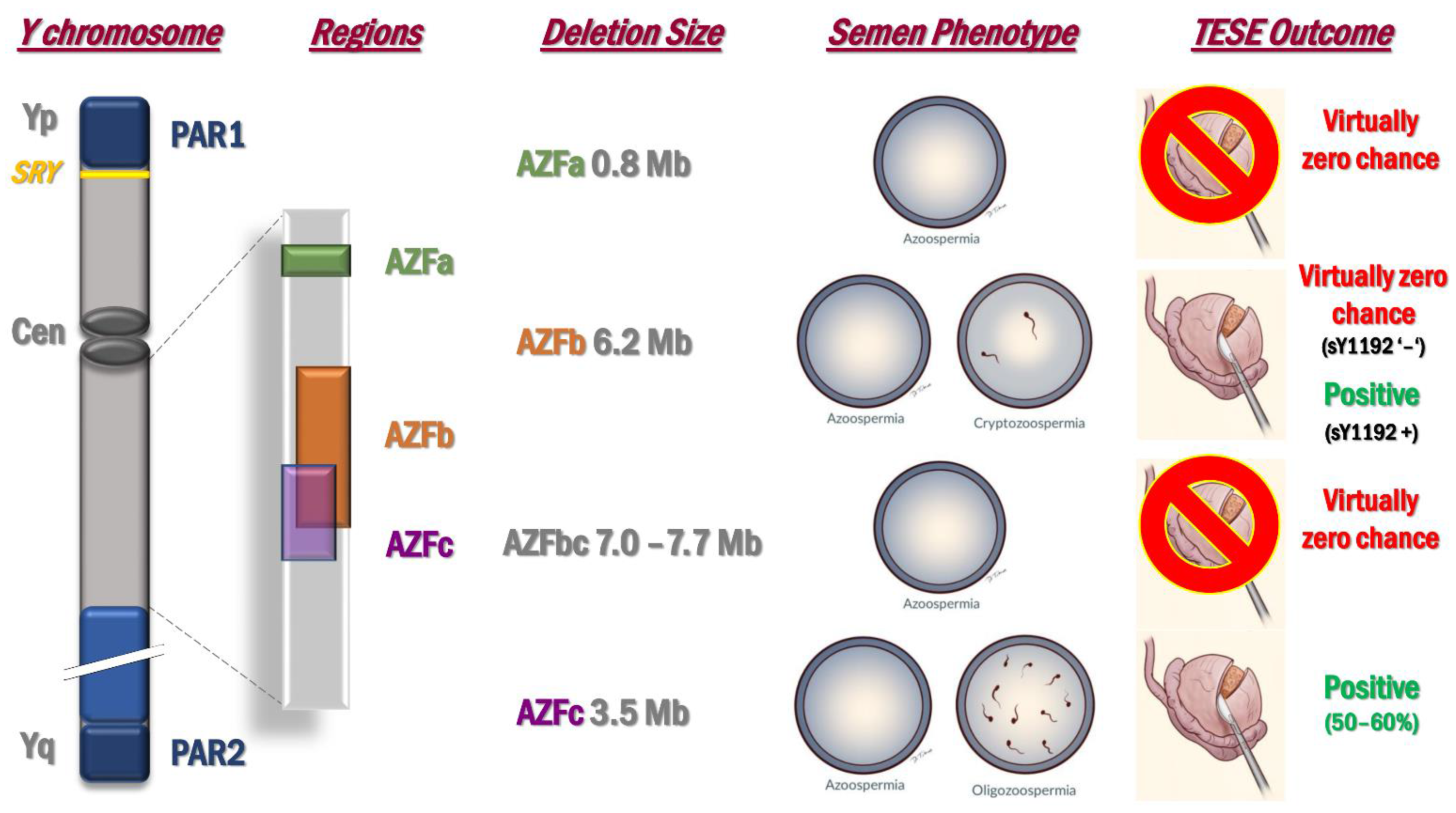 Ijms 22 03264 g002 Ijms 22 03264 g002