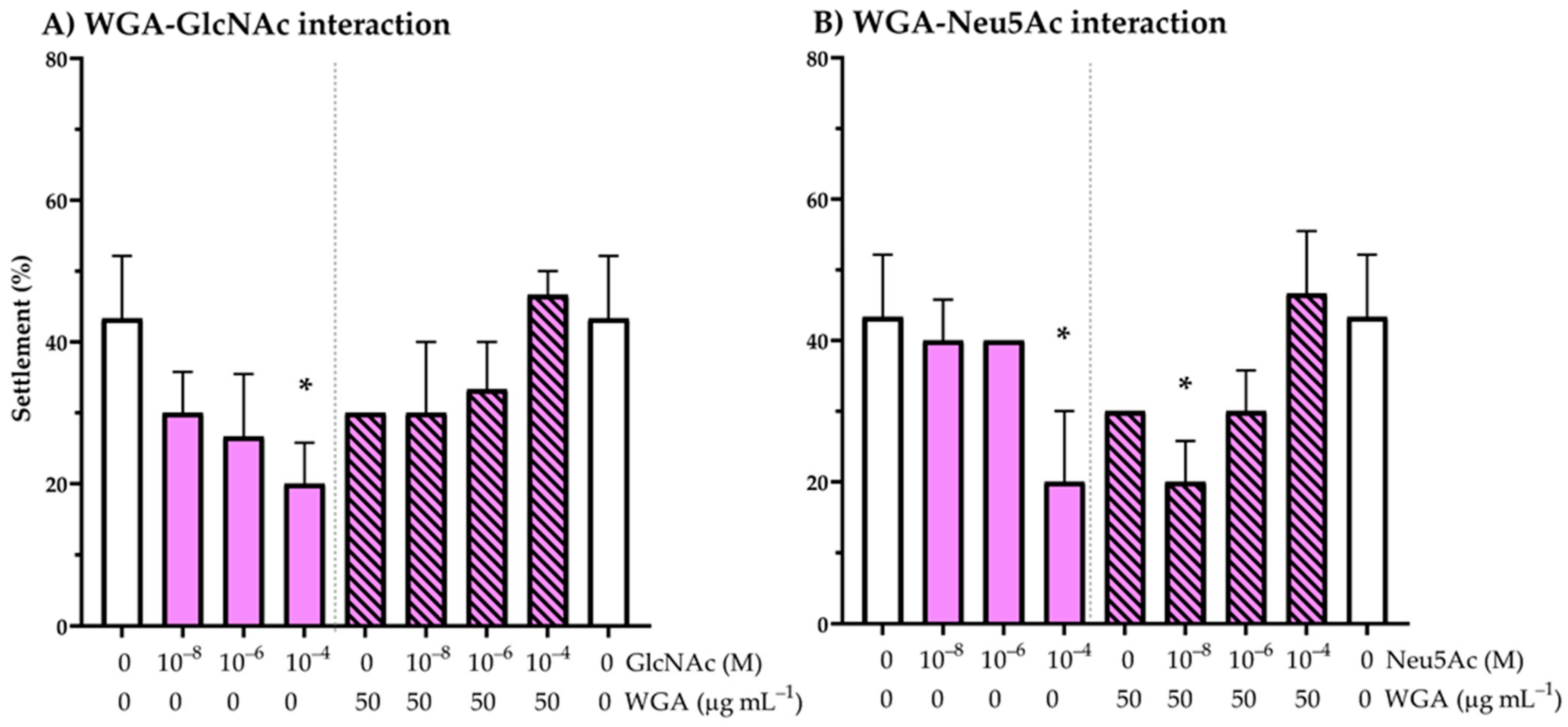 Ijms 22 03273 g004 Ijms 22 03273 g004