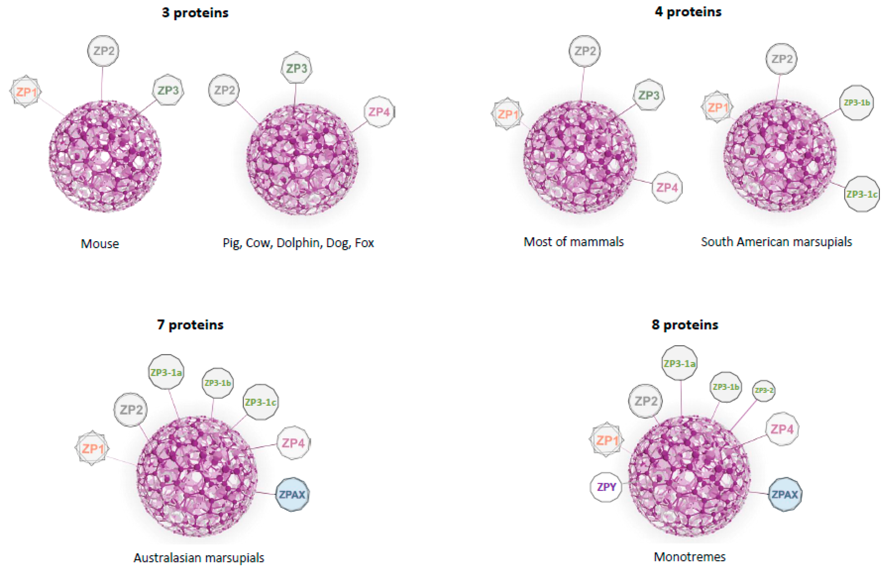 Ijms 22 03276 g002 Ijms 22 03276 g002