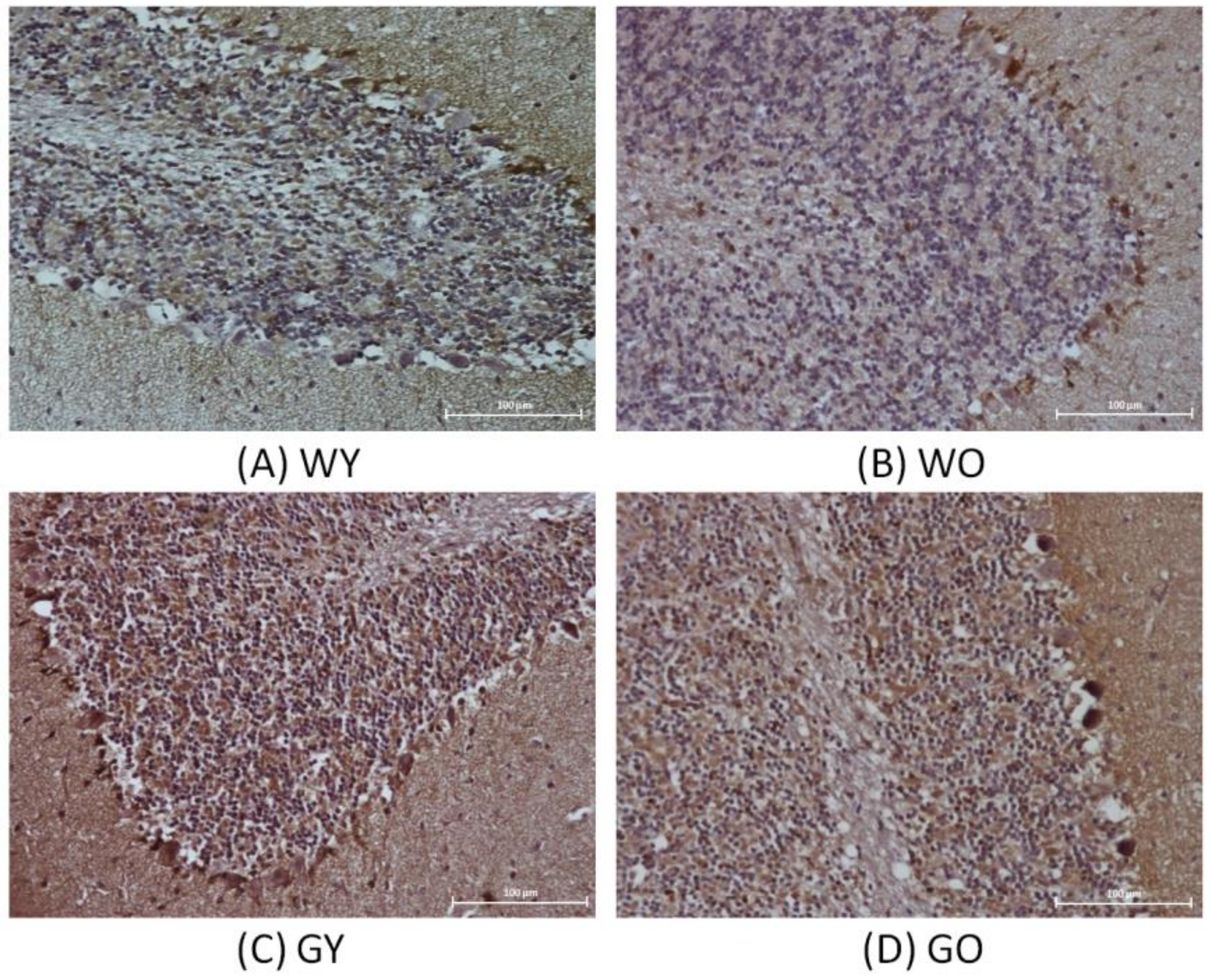 Ijms 22 03278 g008 Ijms 22 03278 g008