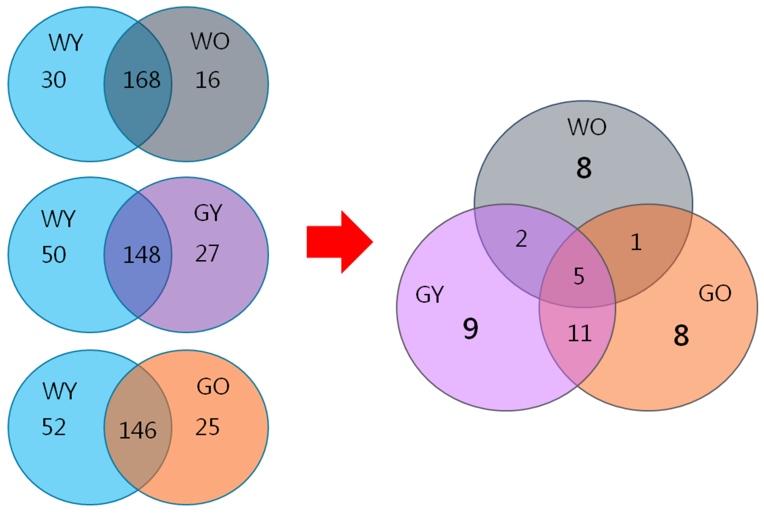 Ijms 22 03278 g010 Ijms 22 03278 g010