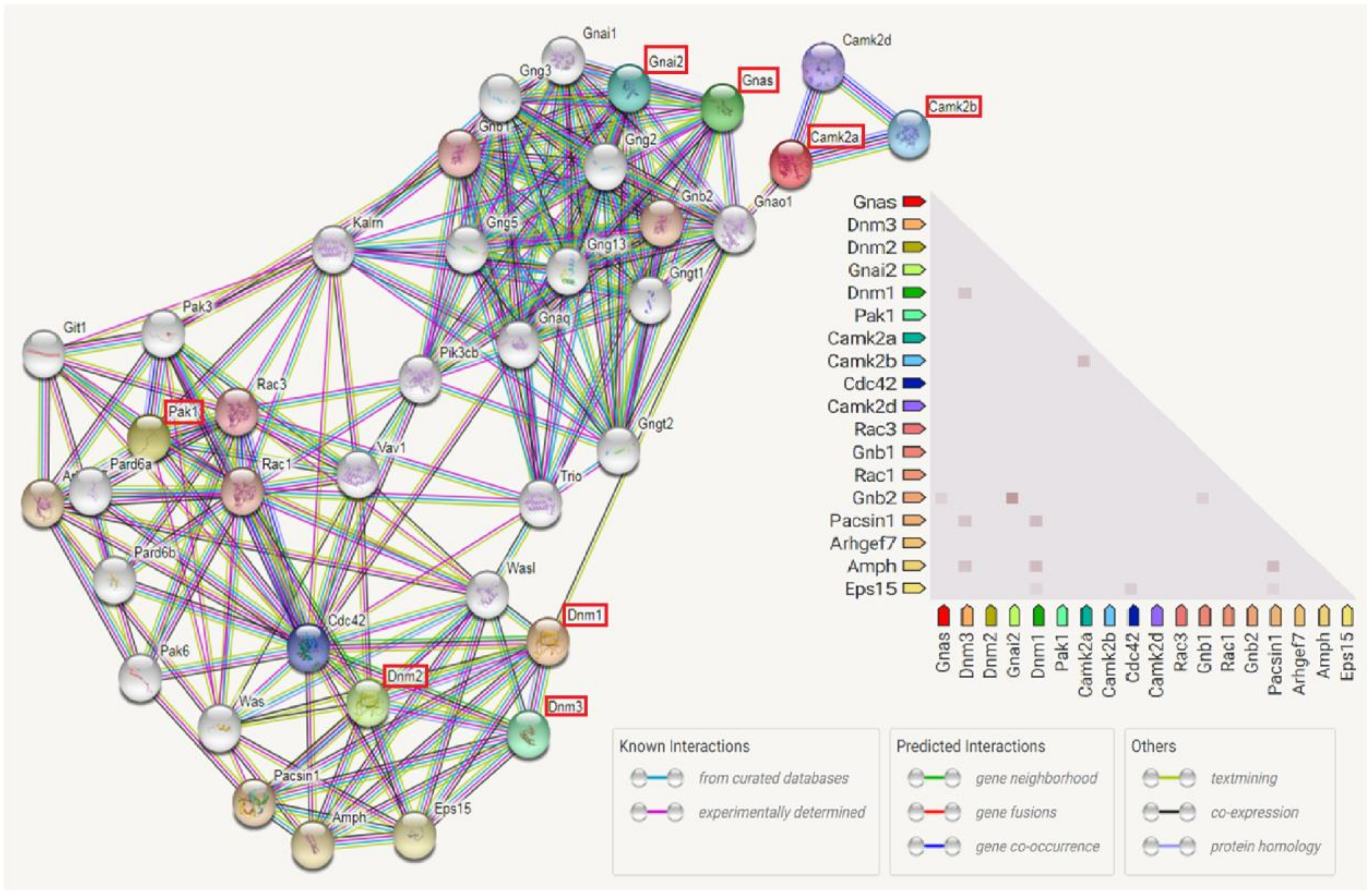 Ijms 22 03278 g011 Ijms 22 03278 g011