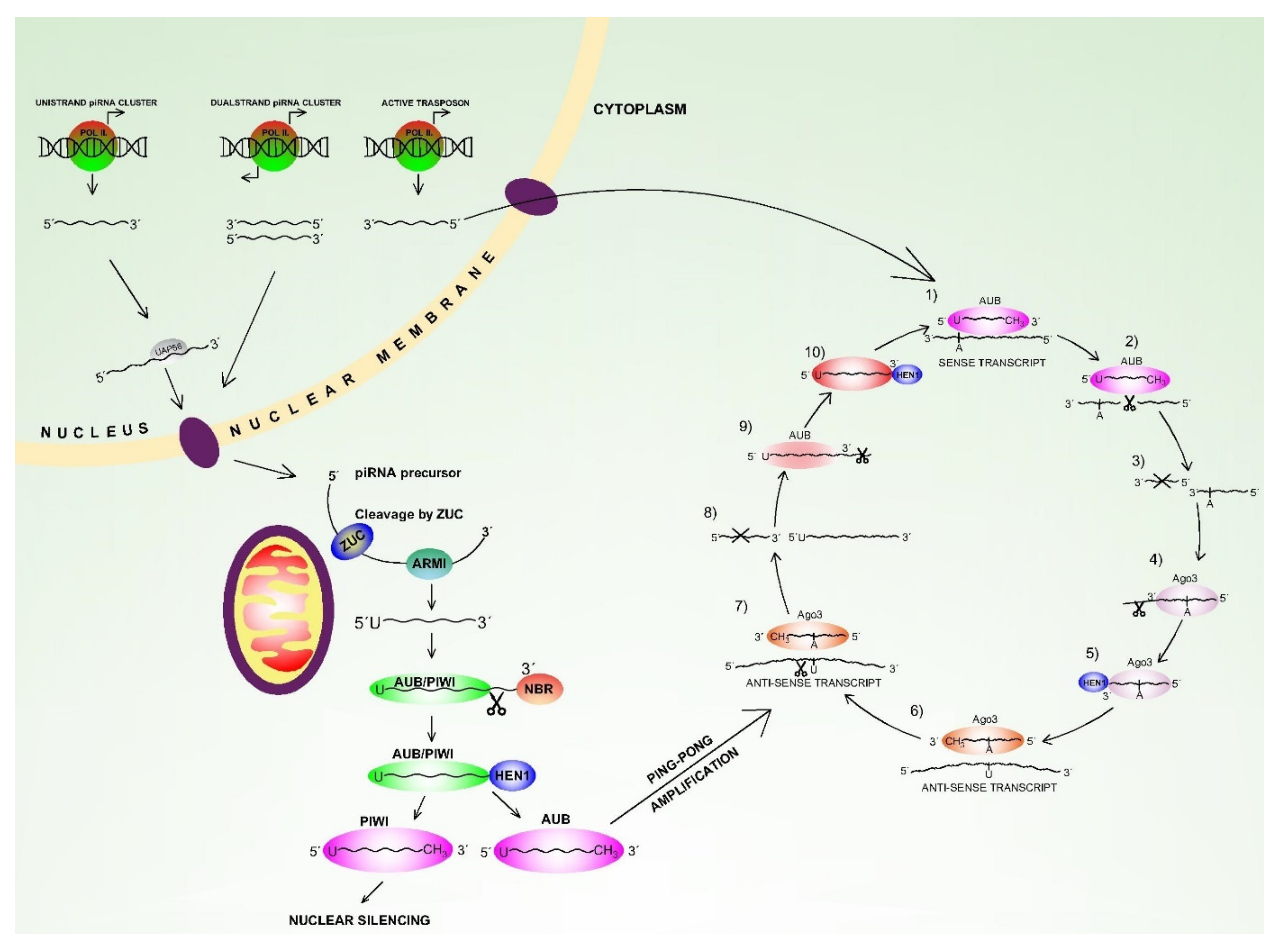 Ijms 22 03280 g003 Ijms 22 03280 g003