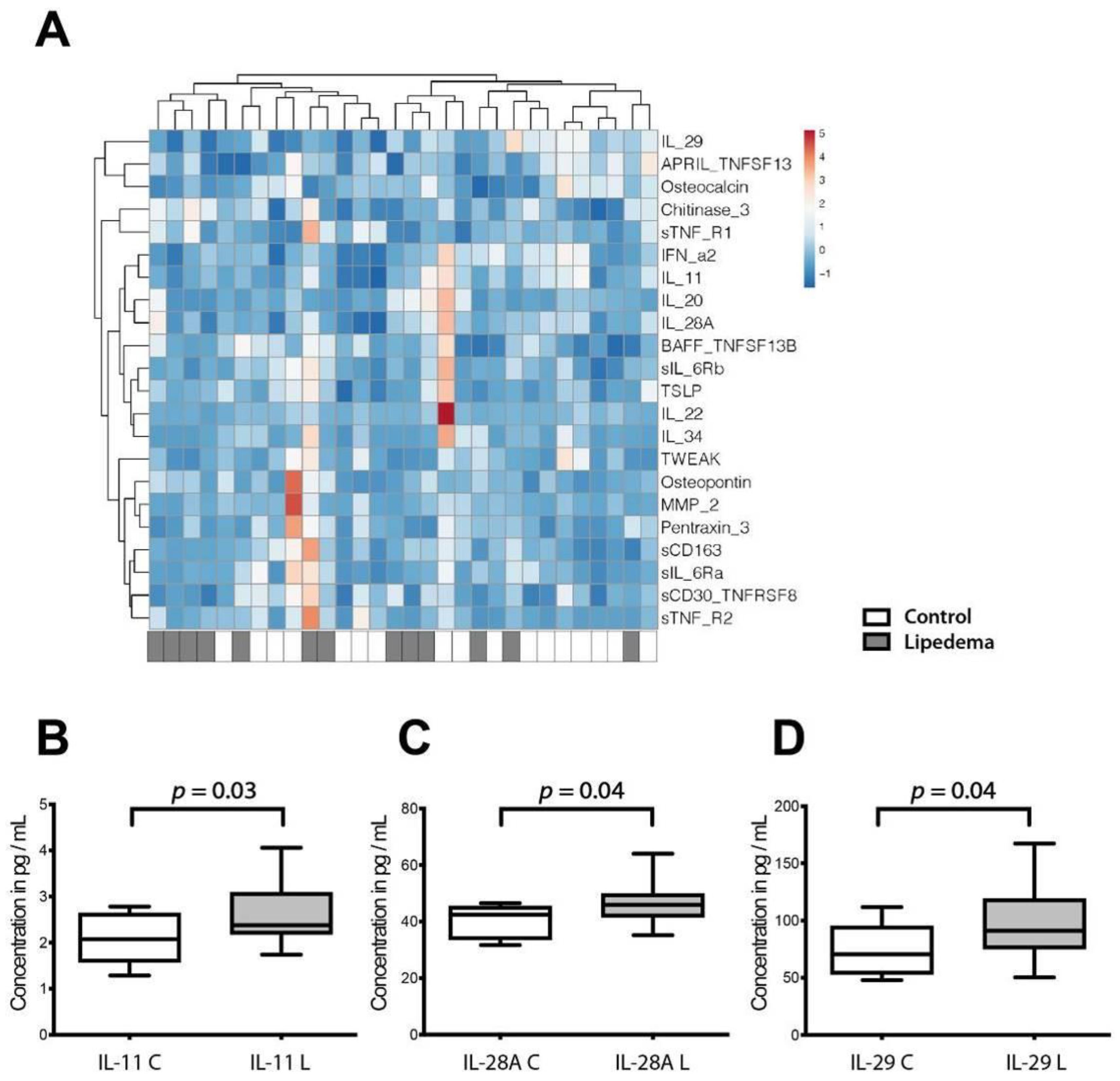 Ijms 22 03313 g004 Ijms 22 03313 g004