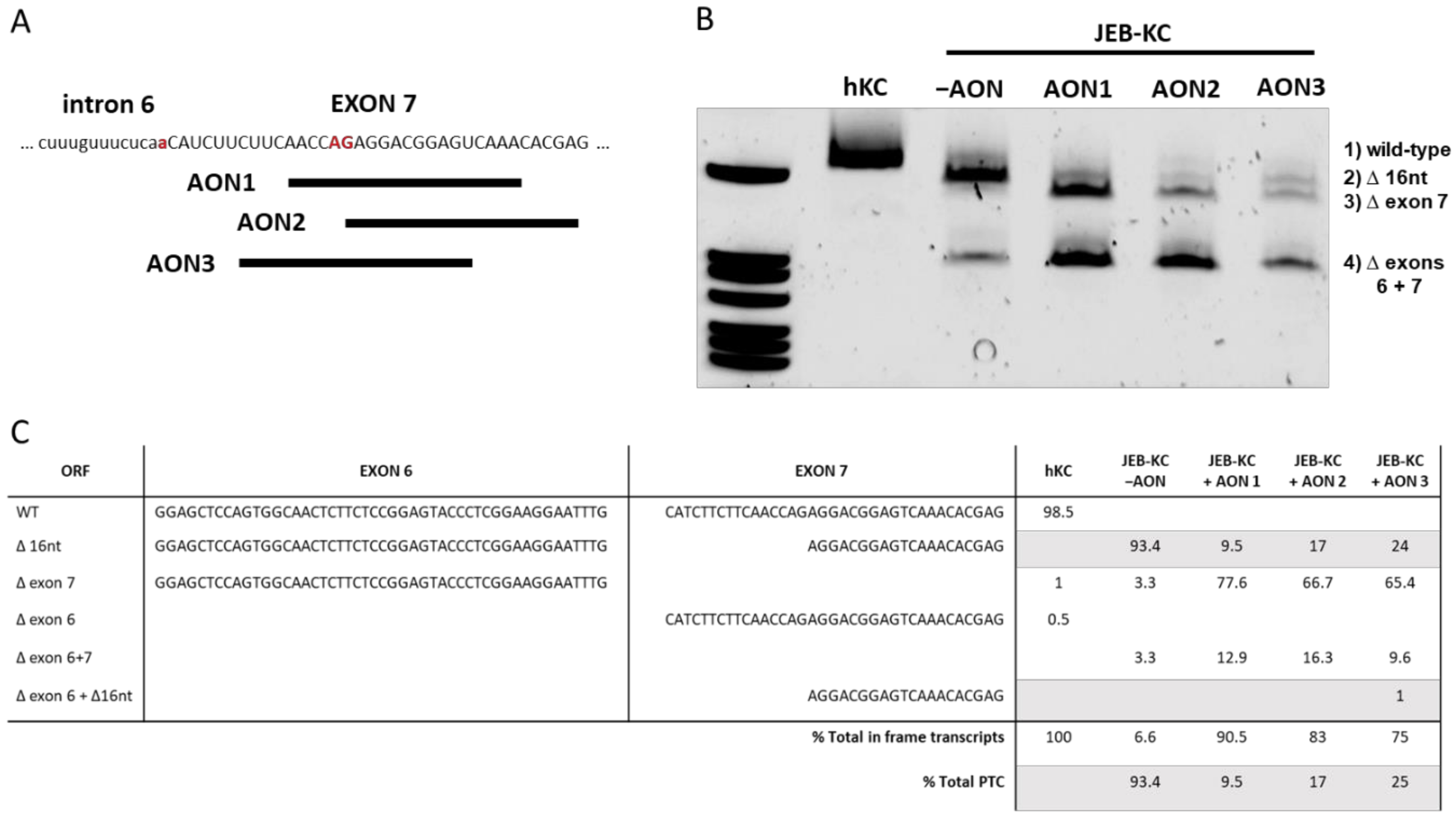 Ijms 22 03326 g001