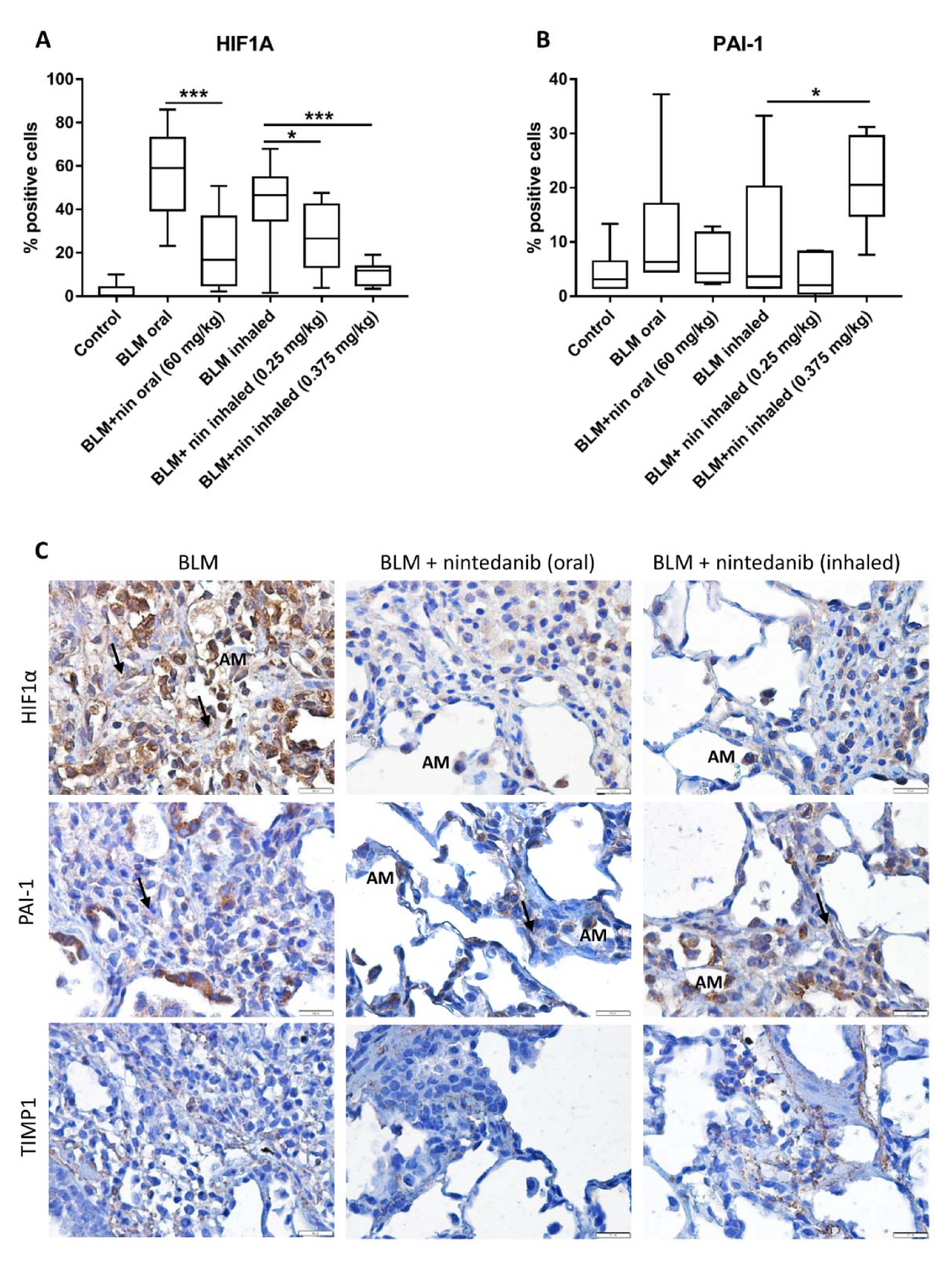 Ijms 22 03331 g004 Ijms 22 03331 g004