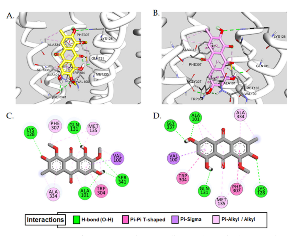 Ijms 22 03335 g003 Ijms 22 03335 g003