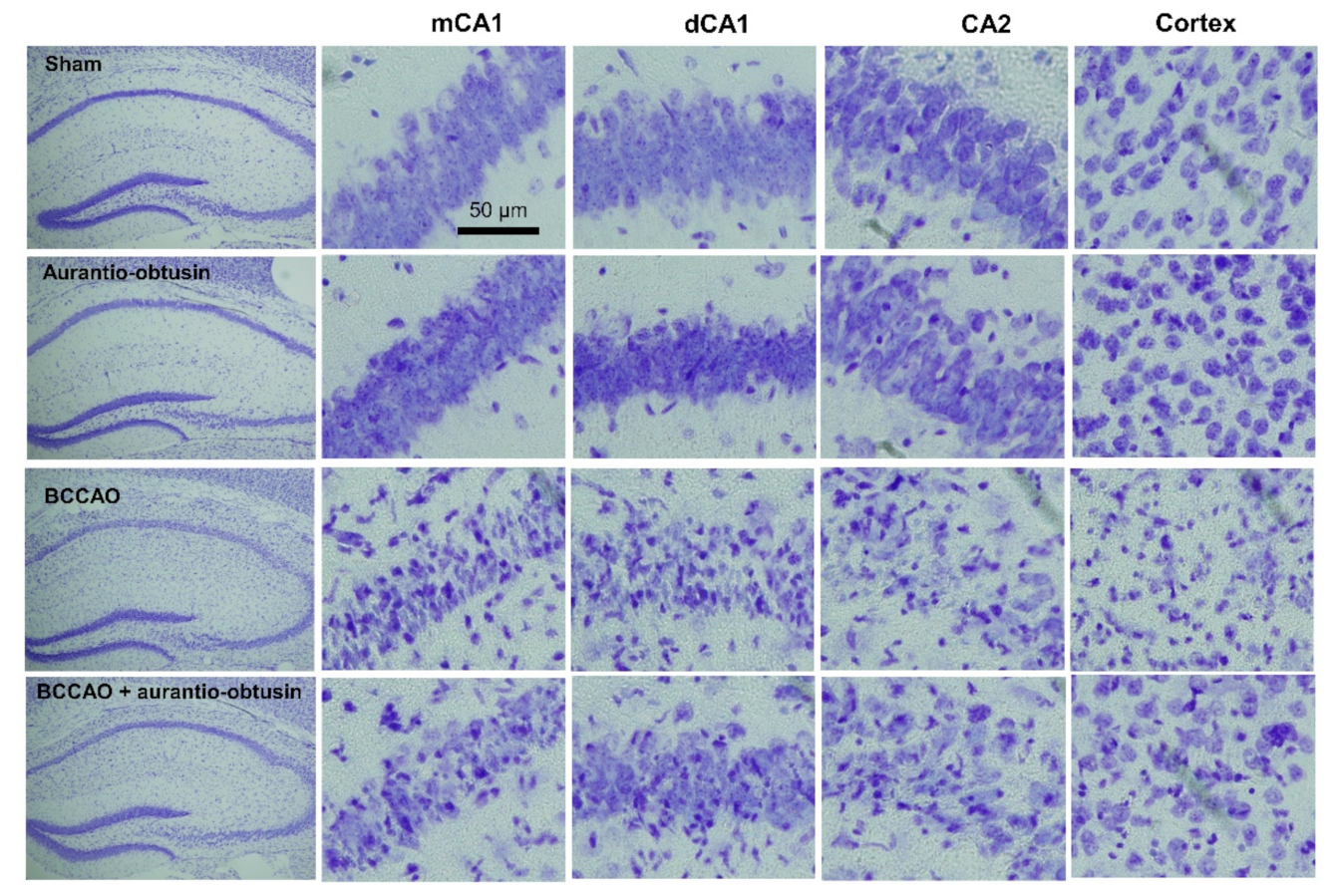 Ijms 22 03335 g005 Ijms 22 03335 g005