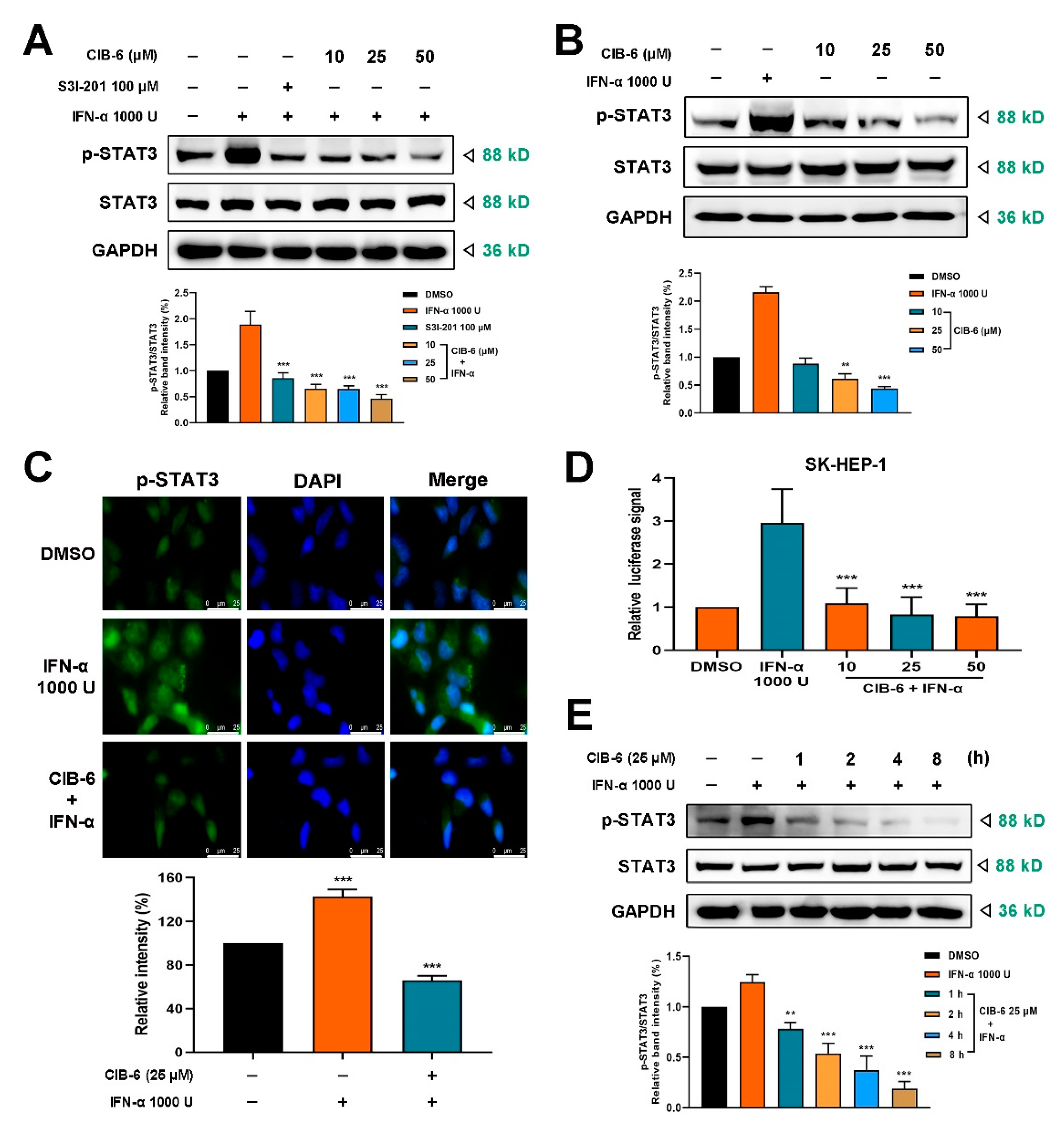 Ijms 22 03354 g002 Ijms 22 03354 g002