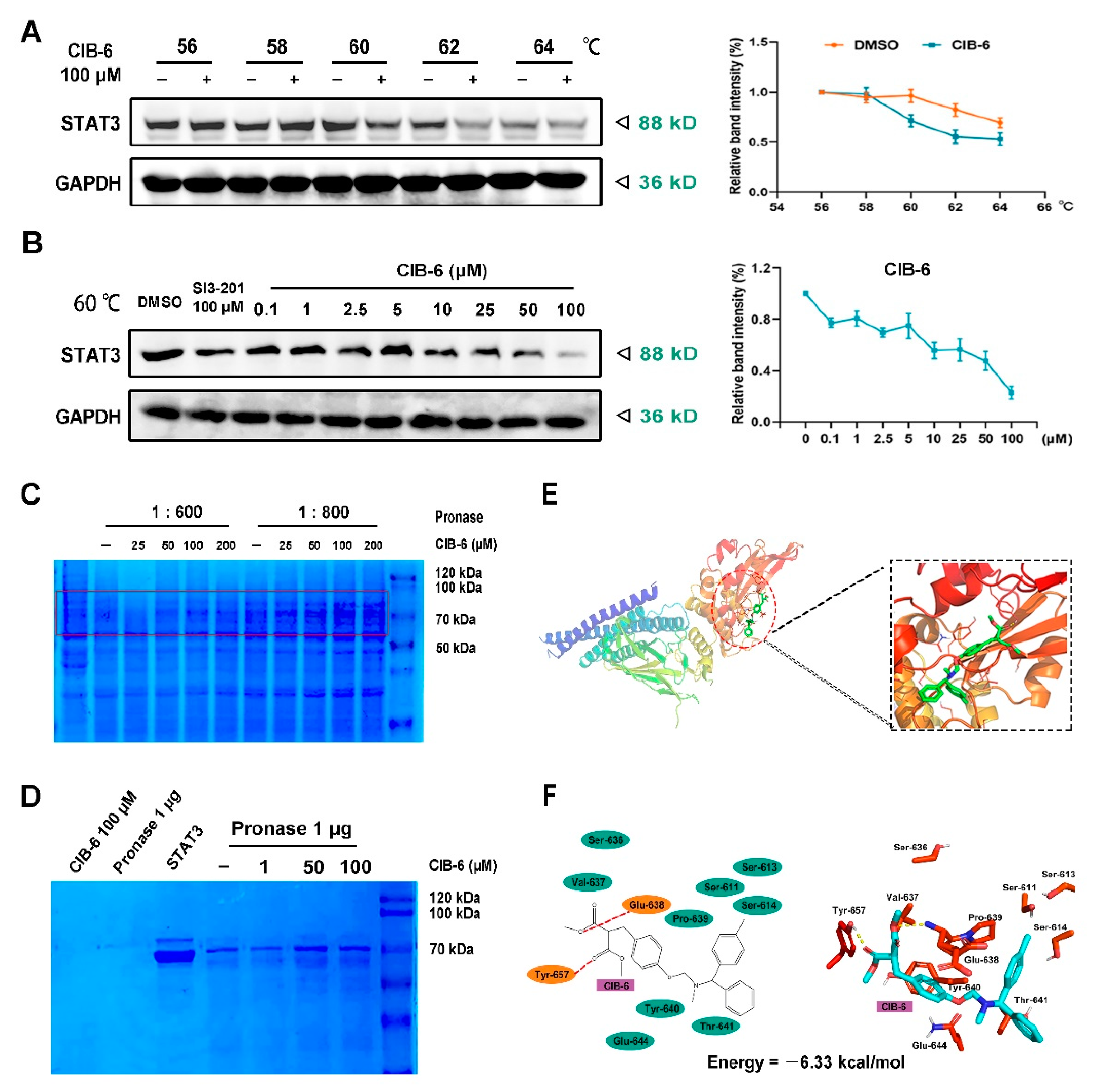 Ijms 22 03354 g003 Ijms 22 03354 g003