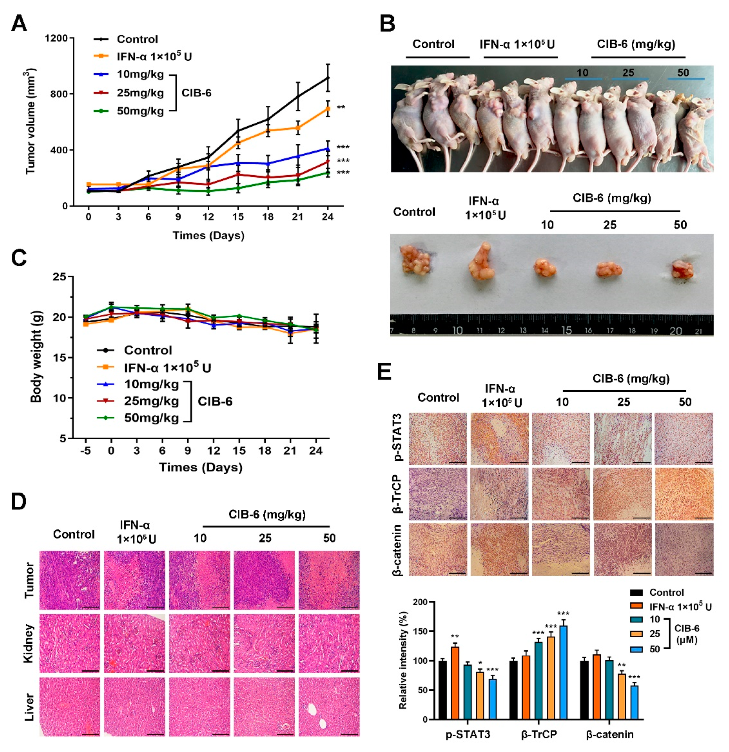Ijms 22 03354 g006 Ijms 22 03354 g006