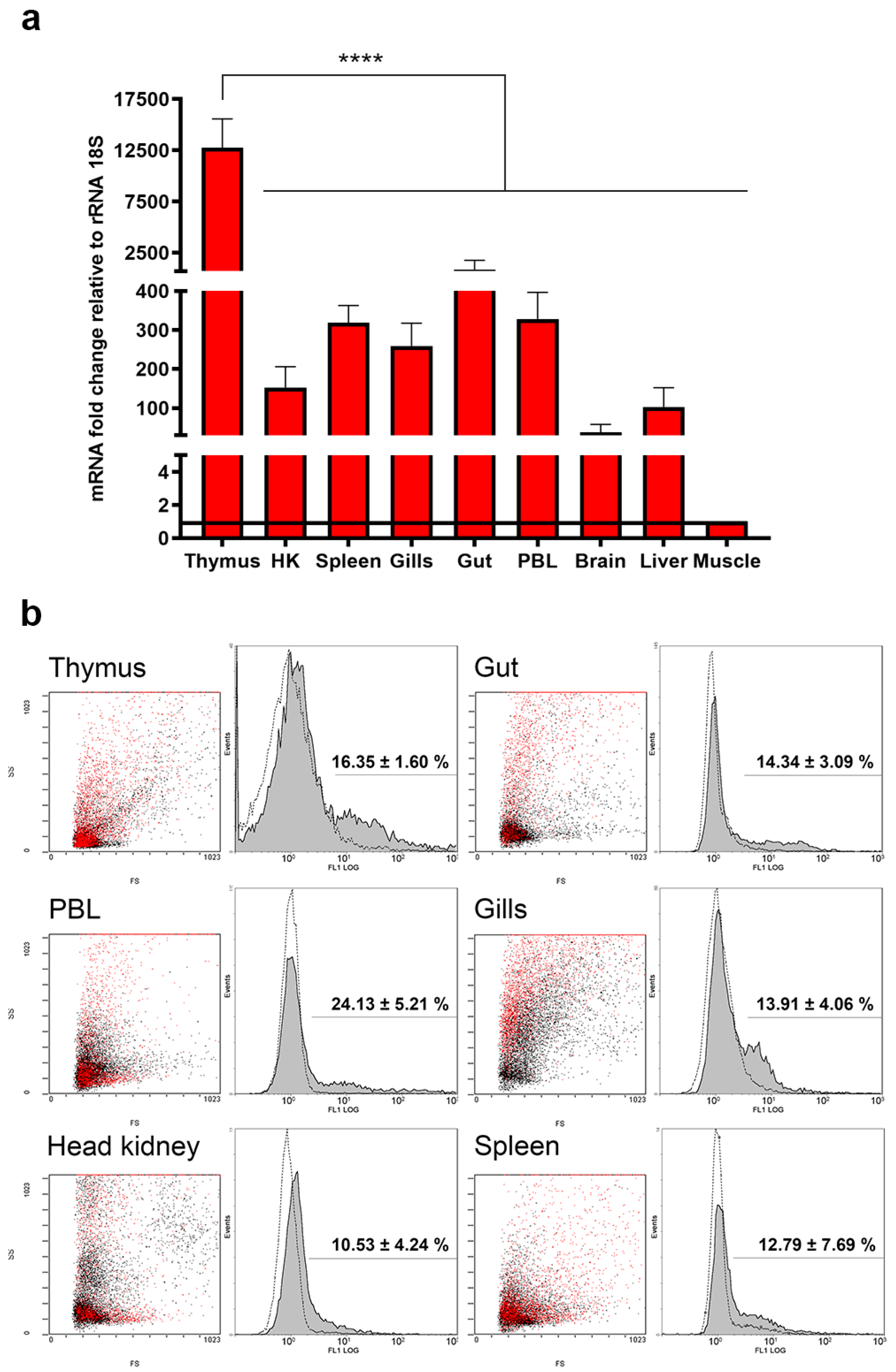 Ijms 22 03376 g003 Ijms 22 03376 g003