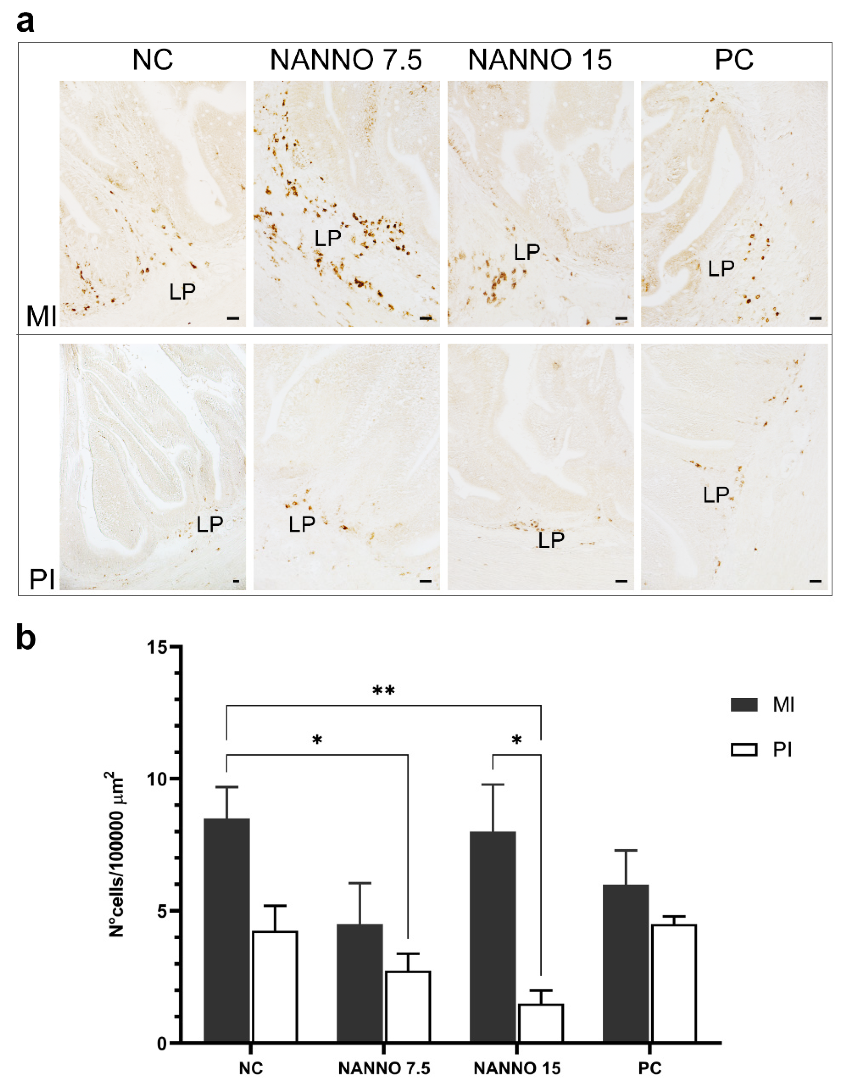 Ijms 22 03376 g005 Ijms 22 03376 g005